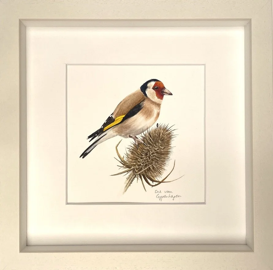Framed painting of a goldfinch bird on a dried teasel plant