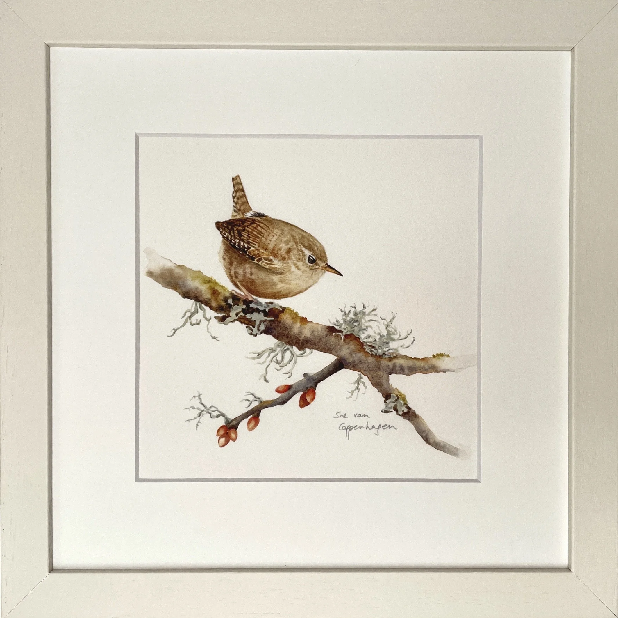 Framed print of a brown wren bird perched on a branch with lichens