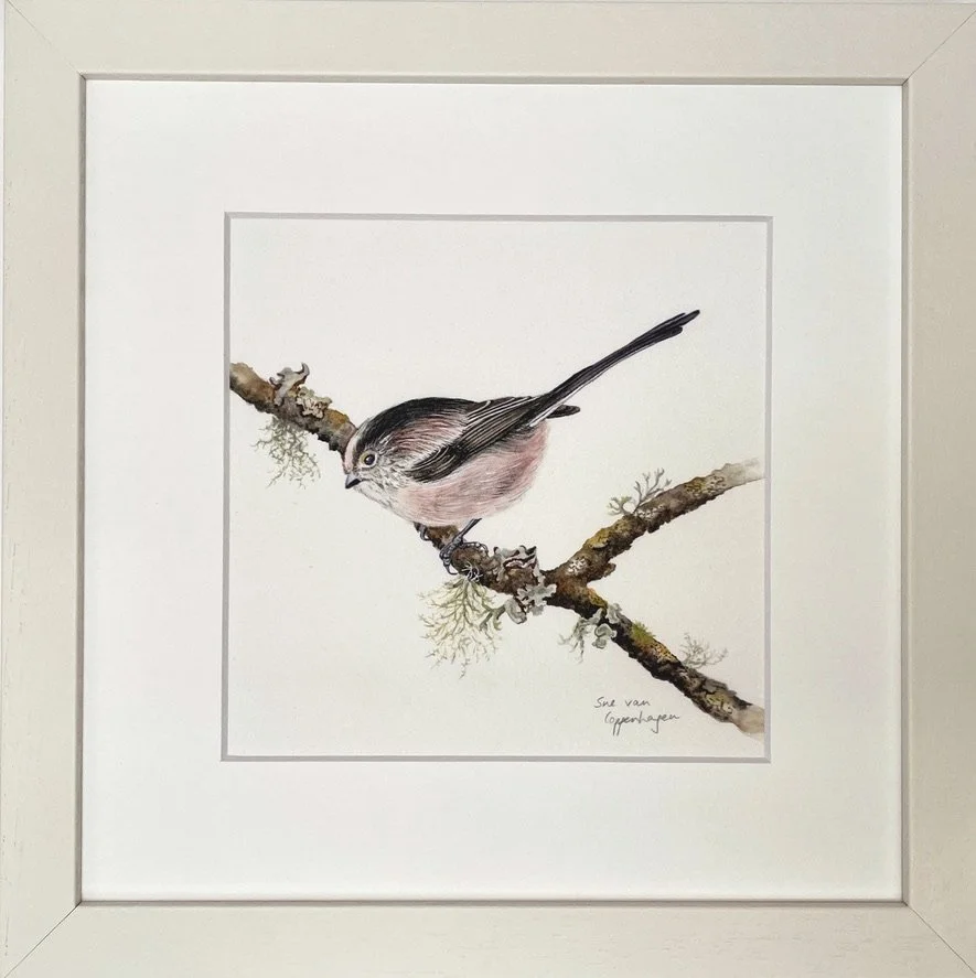 Print of a long tailed tit bird on a branch with lichens, in a pale frame