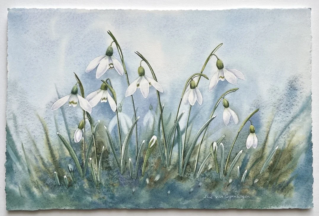 Panel painting with a blue background and blue-green leafy foreground with a clump of white snowdrop flowers