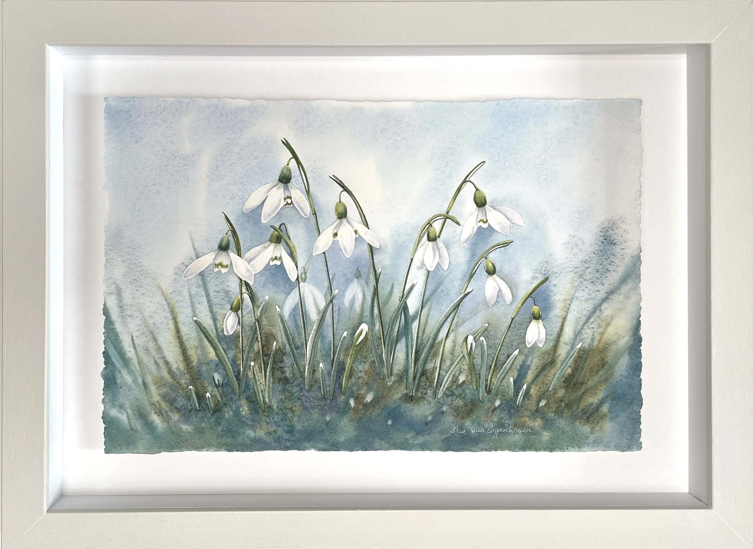 painting of a clump of snowdrops on a blue-green background, framed in a light limed frame