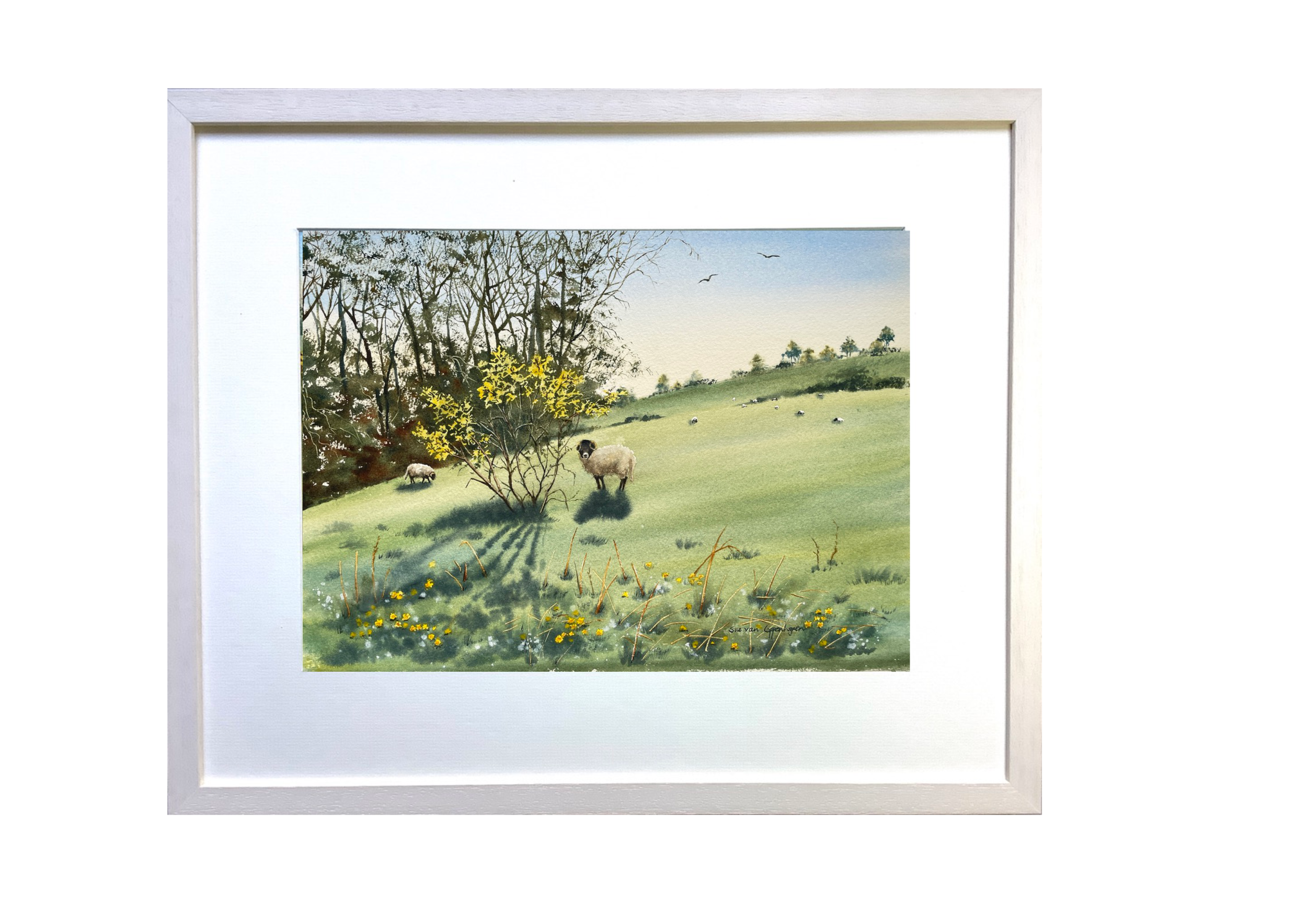 a framed painting of a sheep under a flowering gorse bush with more sheep behind in the field