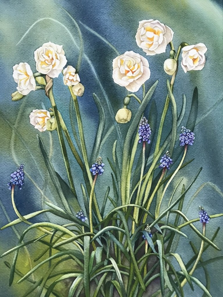 Narcissus and Muscari