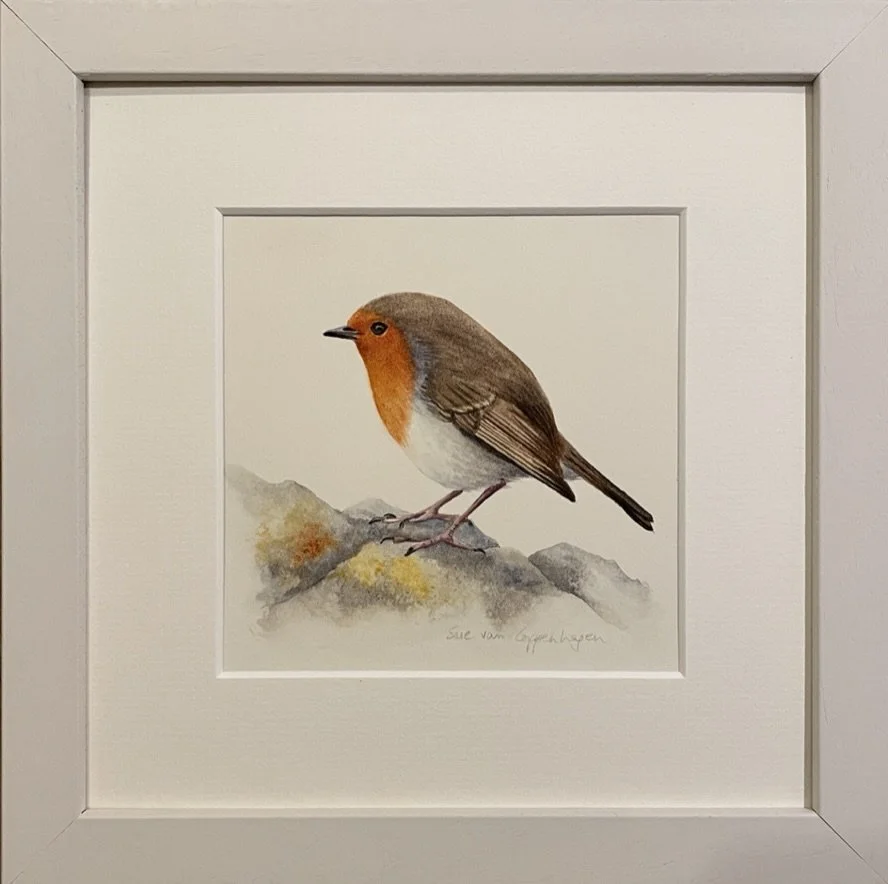 Painting of a red breasted robin bird standing on a grey rock, and framed in a neutral coloured wooden frame