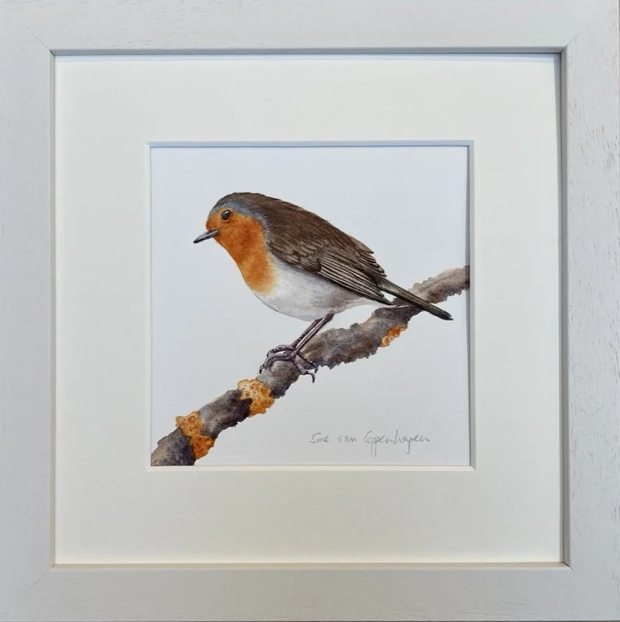Framed painting of a European robin bird with a red breast, on a branch with lichens