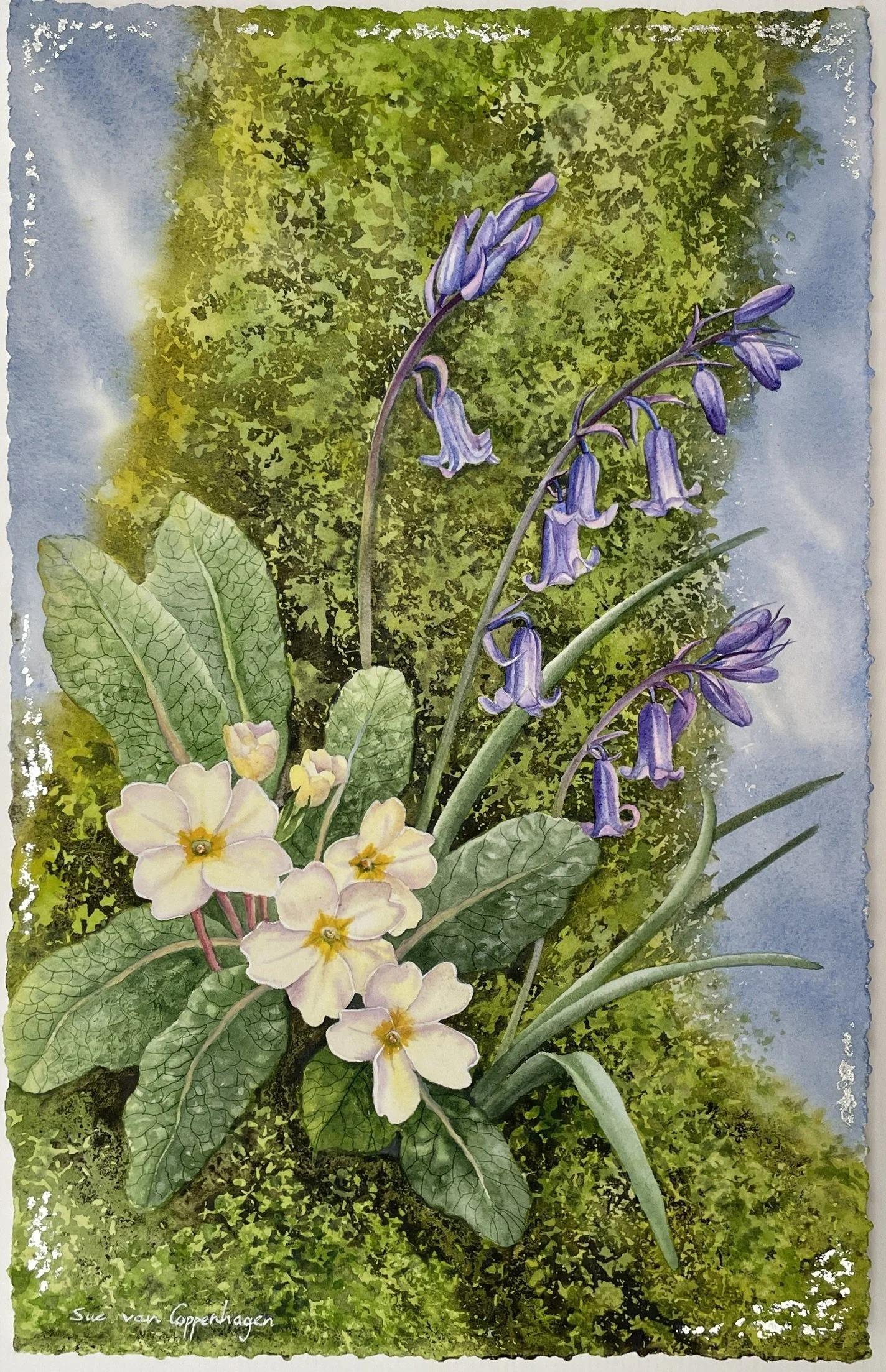 Painting of a mossy tree above yellow primrose flowers and bluebells