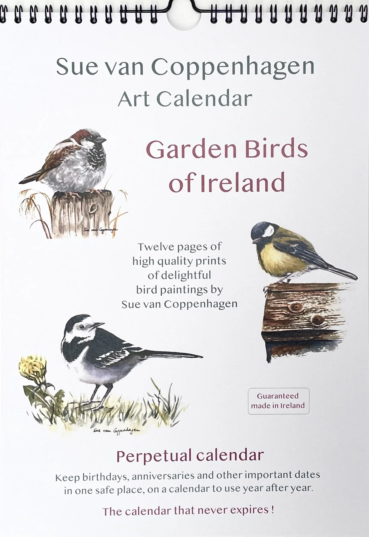 Calendar cover with paintings of a sparrow, a great tit and a wagtail bird