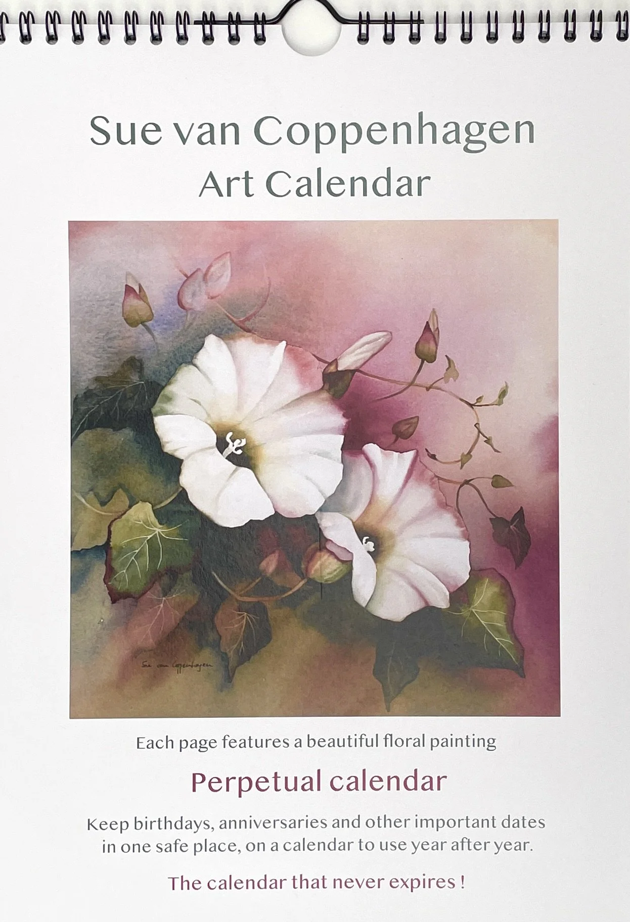Birthday calendar cover with a painting by Sue van Coppenhagen of two white convolvulus flowers