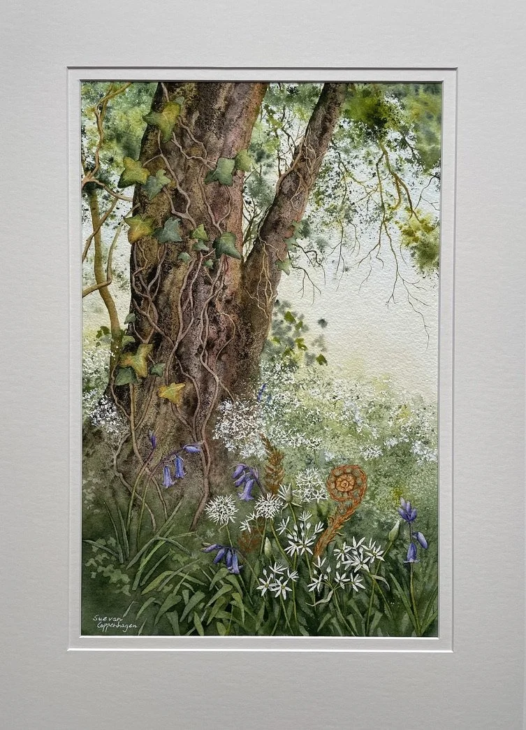 Framed painting of a Spring tree with white wild garlic flowers, bluebells and a fern