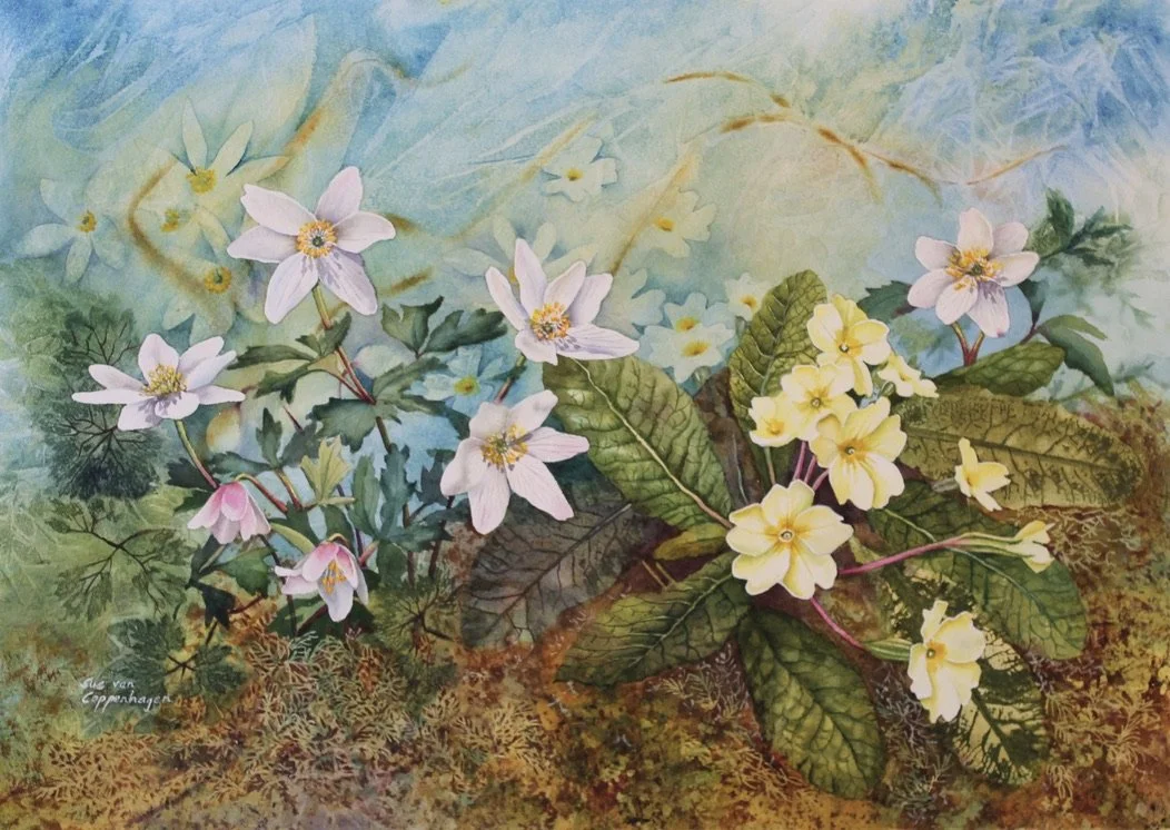 Watercolour painting with white wood anemone flowers and yellow primroses on a mossy bank