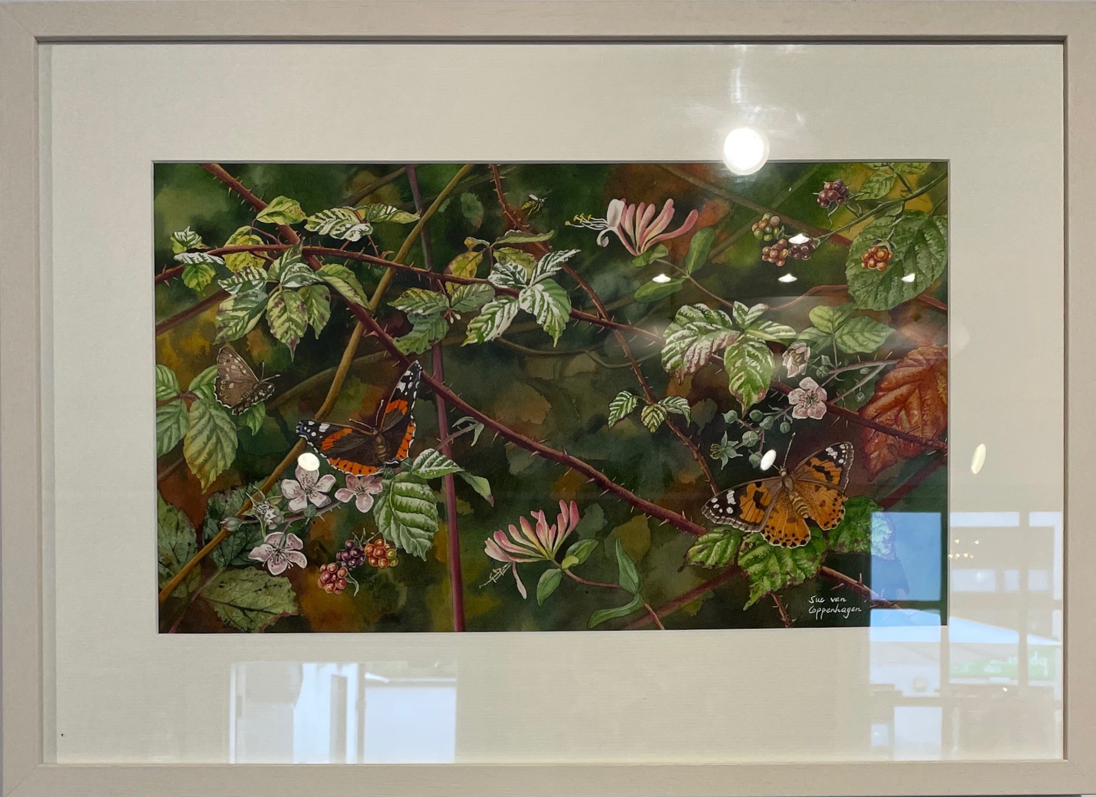 Framed watercolour painting of hedgerow plants including bramble flowers and berries, honeysuckle flowers, butterflies and bees