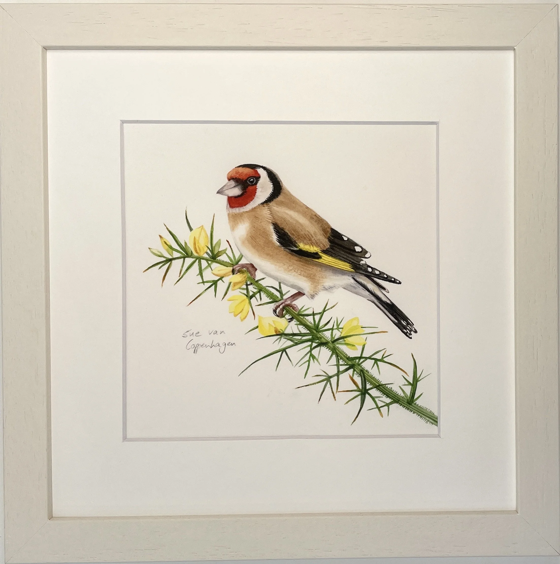 Print of a painting of a goldfinch bird on a branch of gorse with yellow flowers, framed in a neutral coloured wooden frame