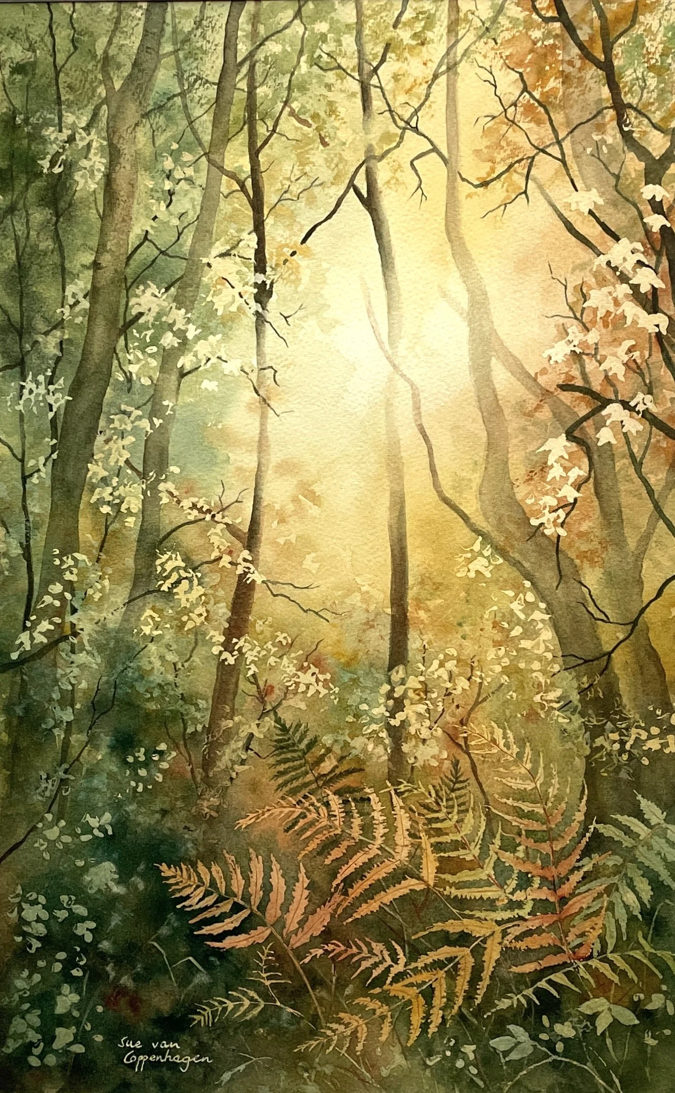 Watercolour painting of glowing light on trees and bracken in autumn colours