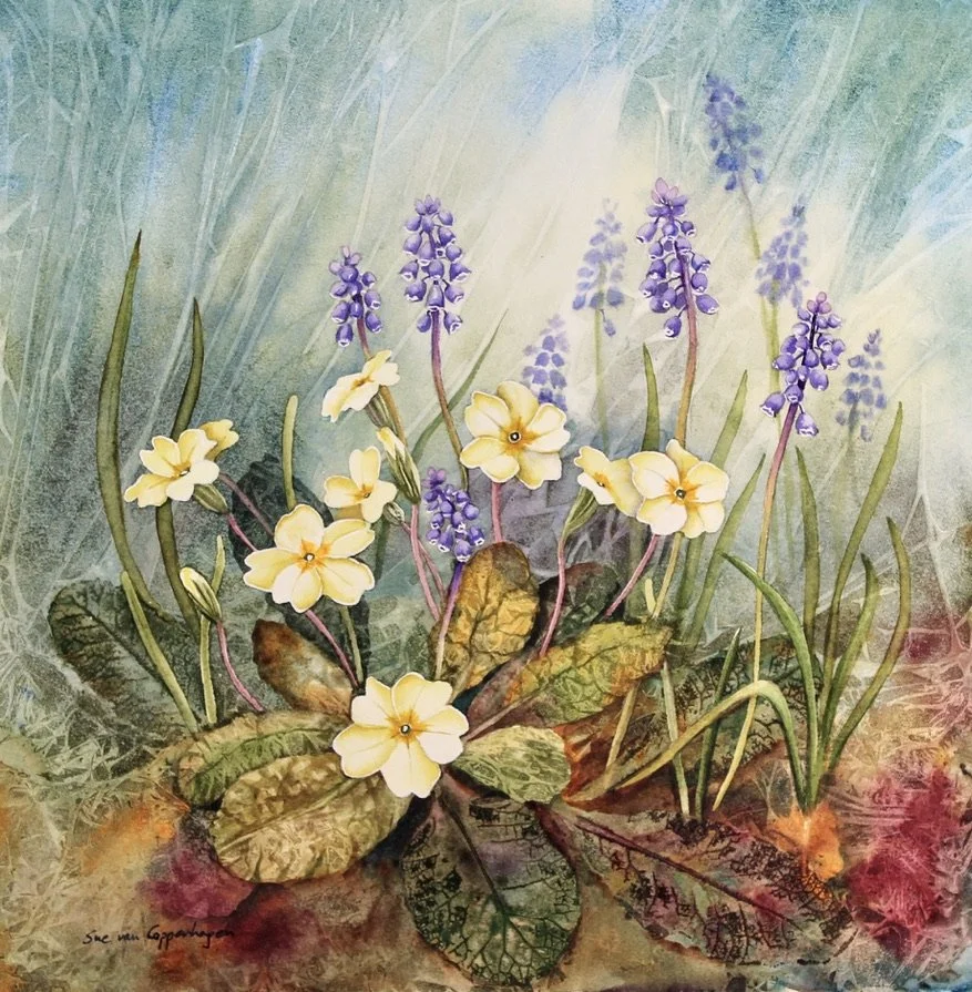 Painting of pale yellow primrose flowers growing amongst blue grape hyacinth flowers