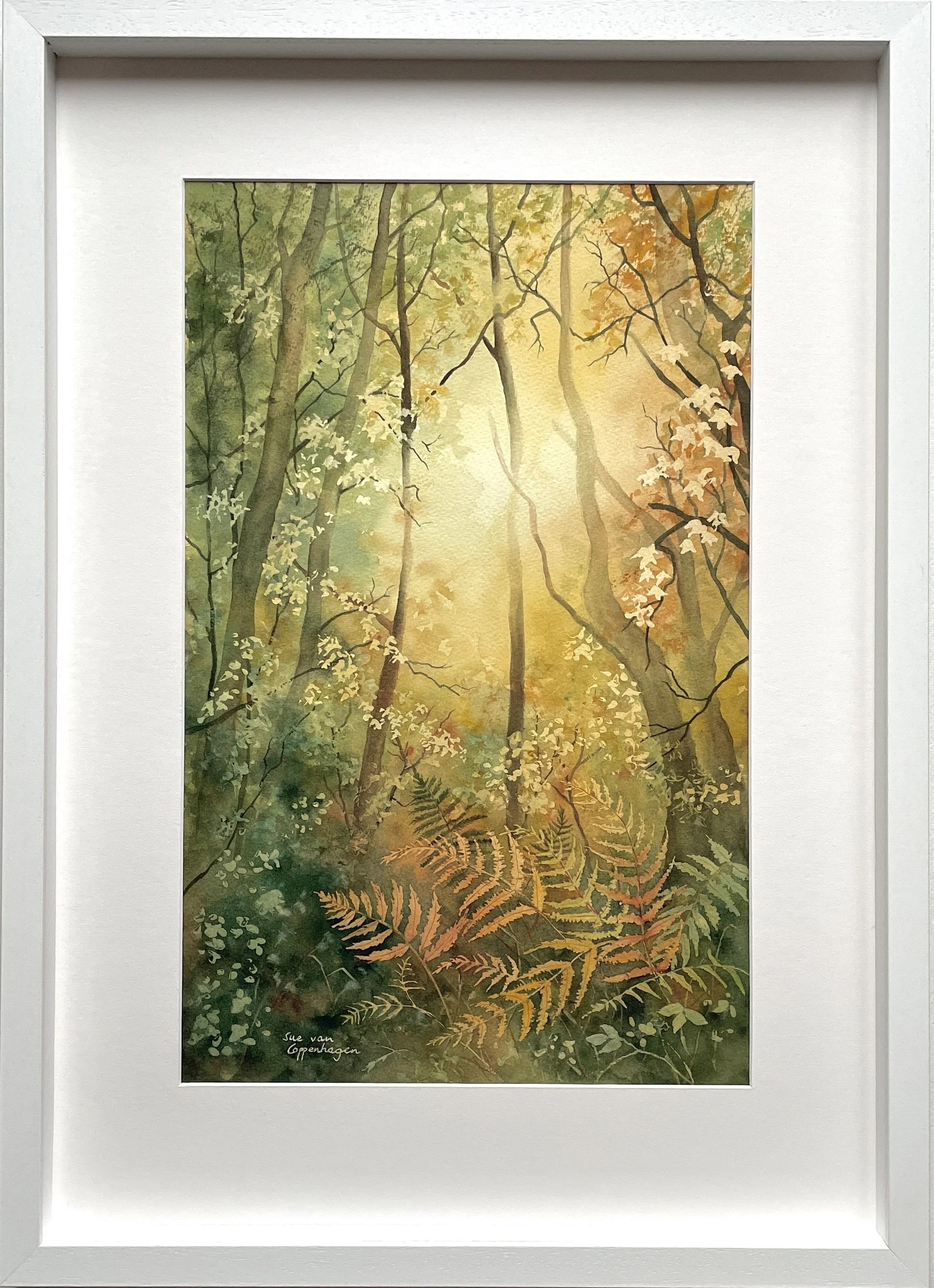 Framed watercolour painting of glowing light in a forest, lighting up trees and bracken in gold and green colours