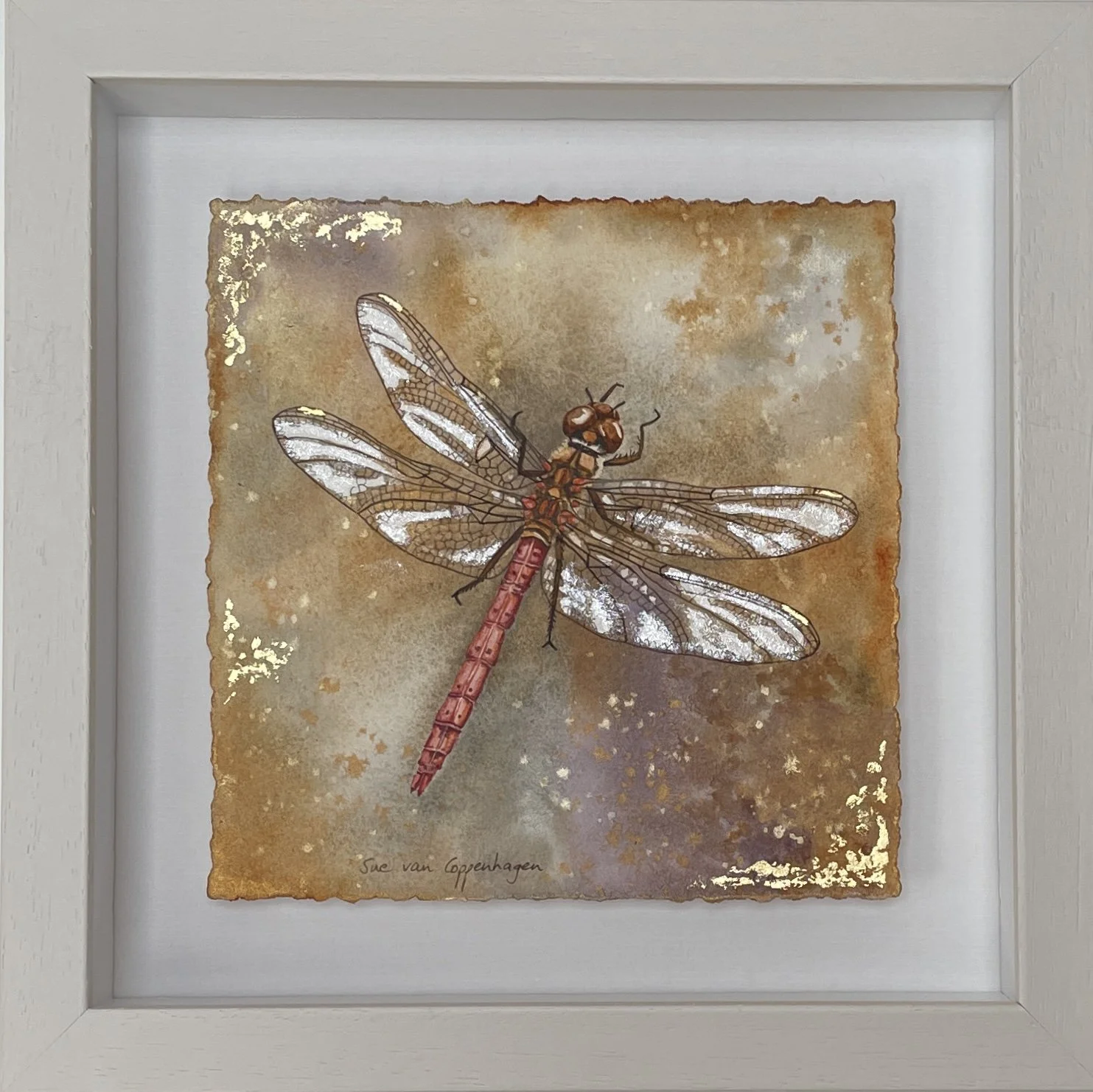 Painting of a red bodied darter dragonfly on a golden background, framed in a pale, deep frame