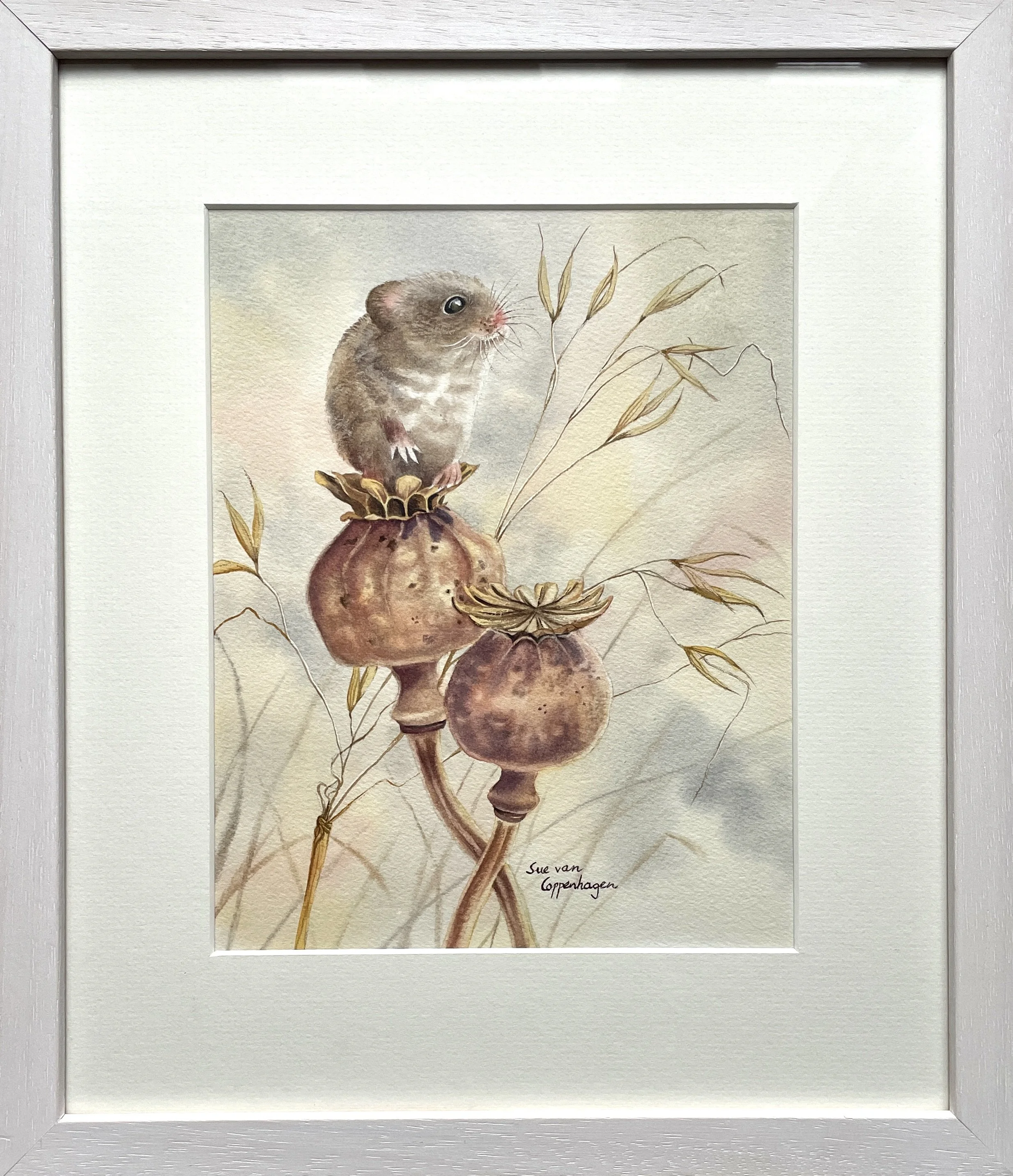 Painting of a mouse perched on dried poppy seed cases, framed in an off-white wooden frame