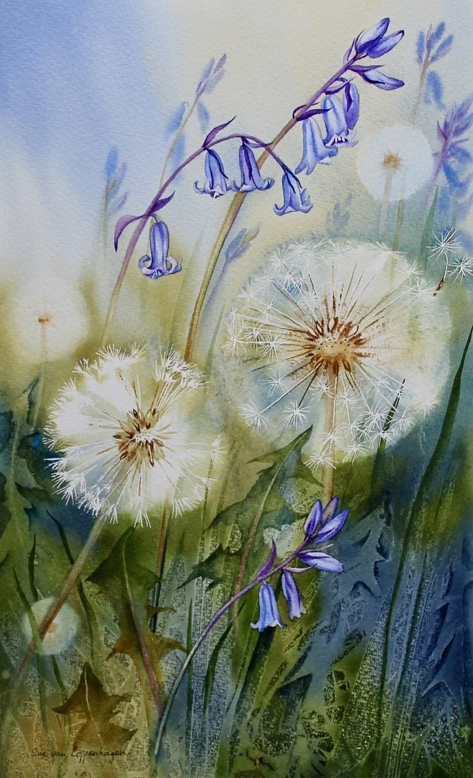 Painting of dandelion clocks and bluebells