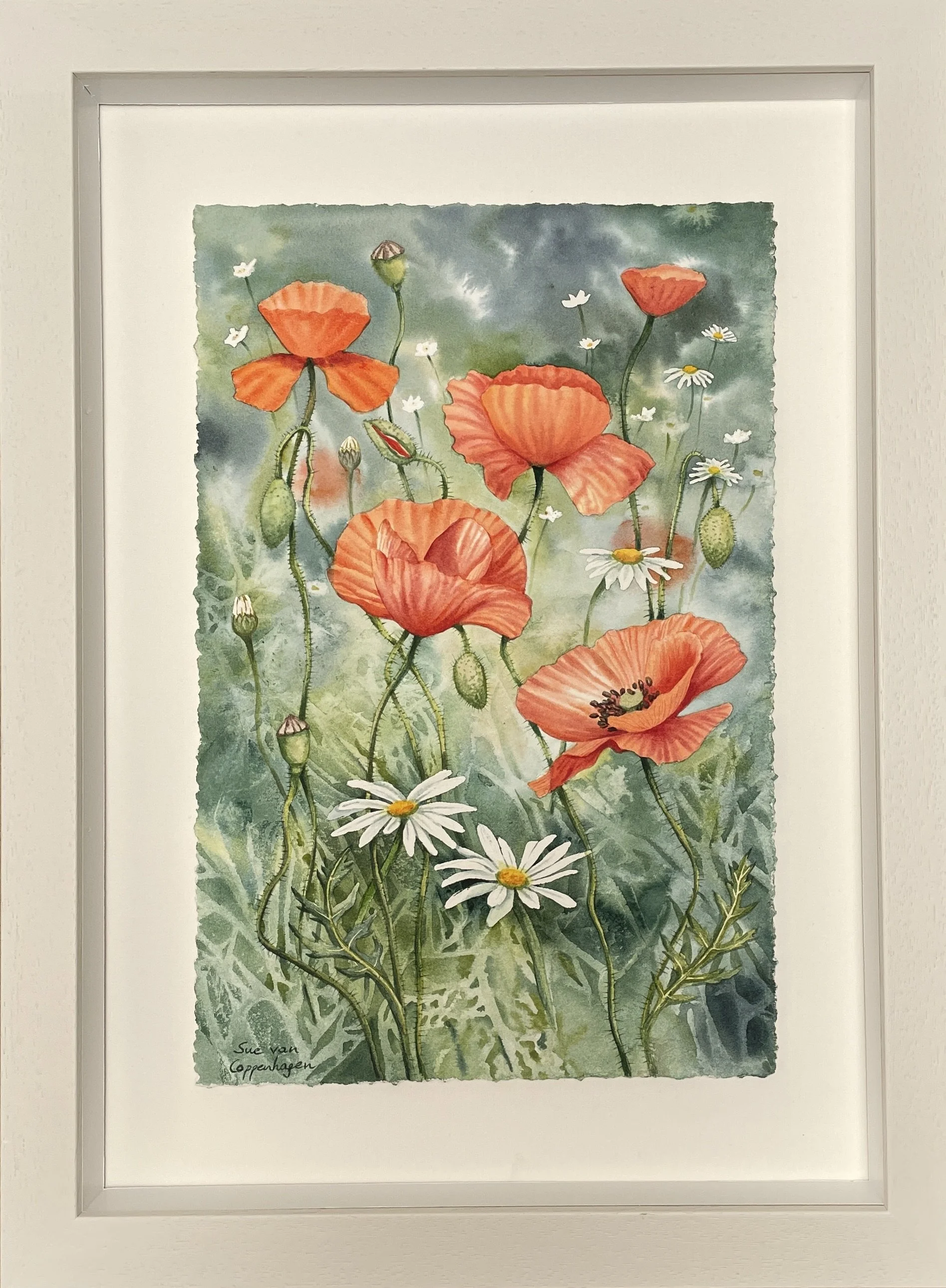 Framed painting of red poppies and white daisies on a green background with a deckle edge