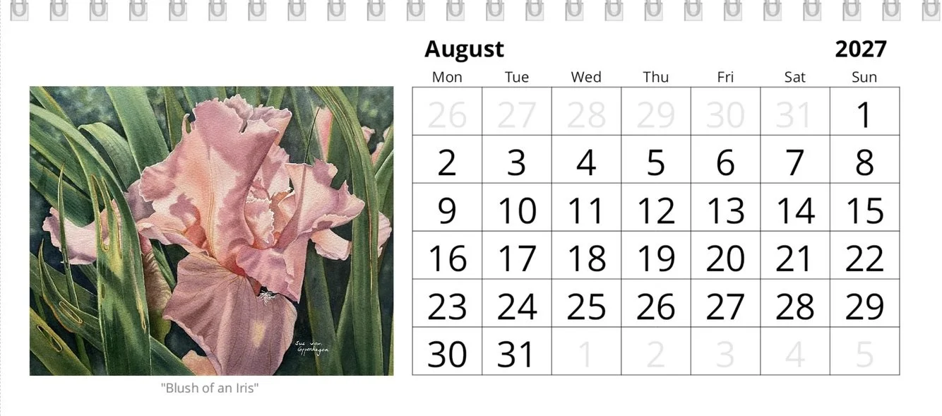 August calendar page with a salmon-pink iris flower amongst a multitude of strappy, green leaves.