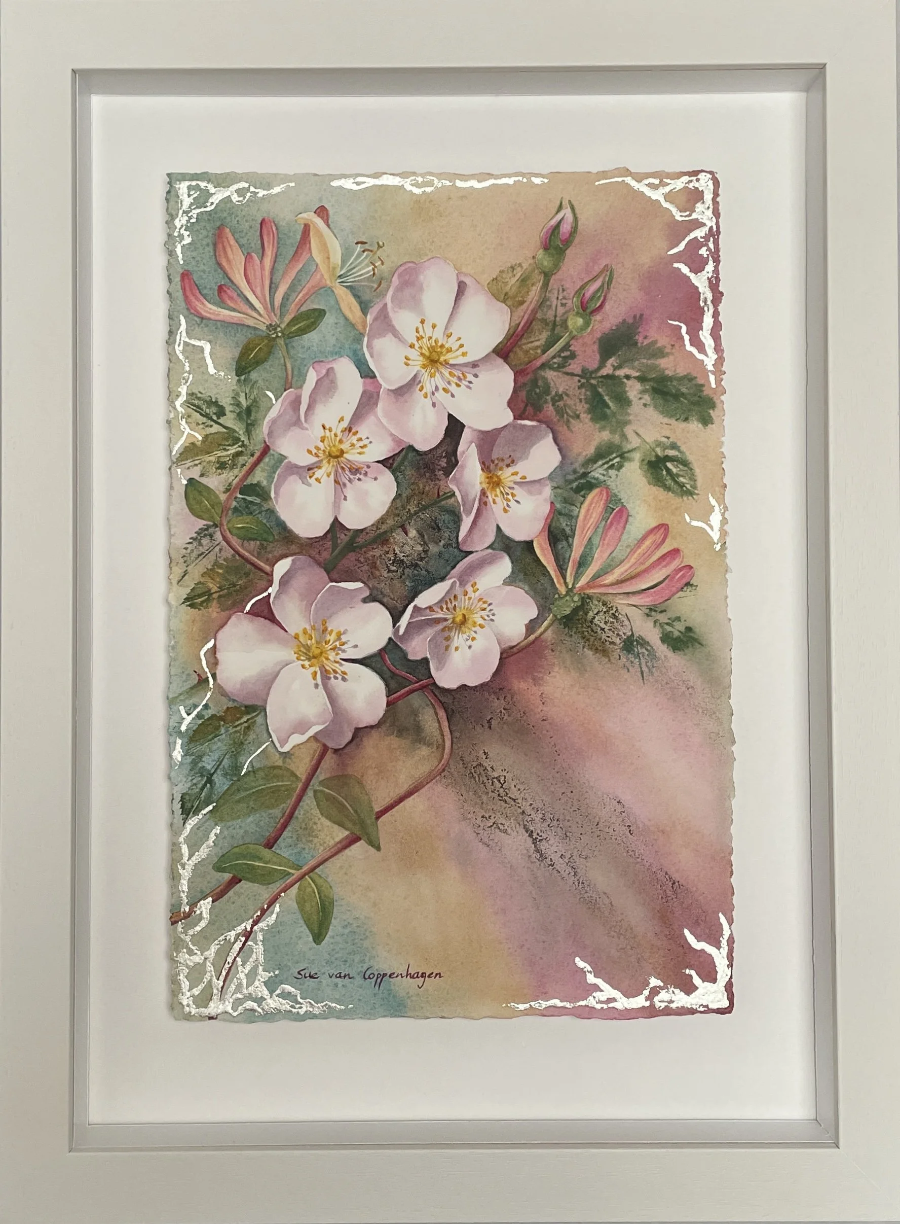 Watercolour painting of five pink dog roses and twining honeysuckle, edged with patterns of white gold leaf, framed in a wide frame of limed wood