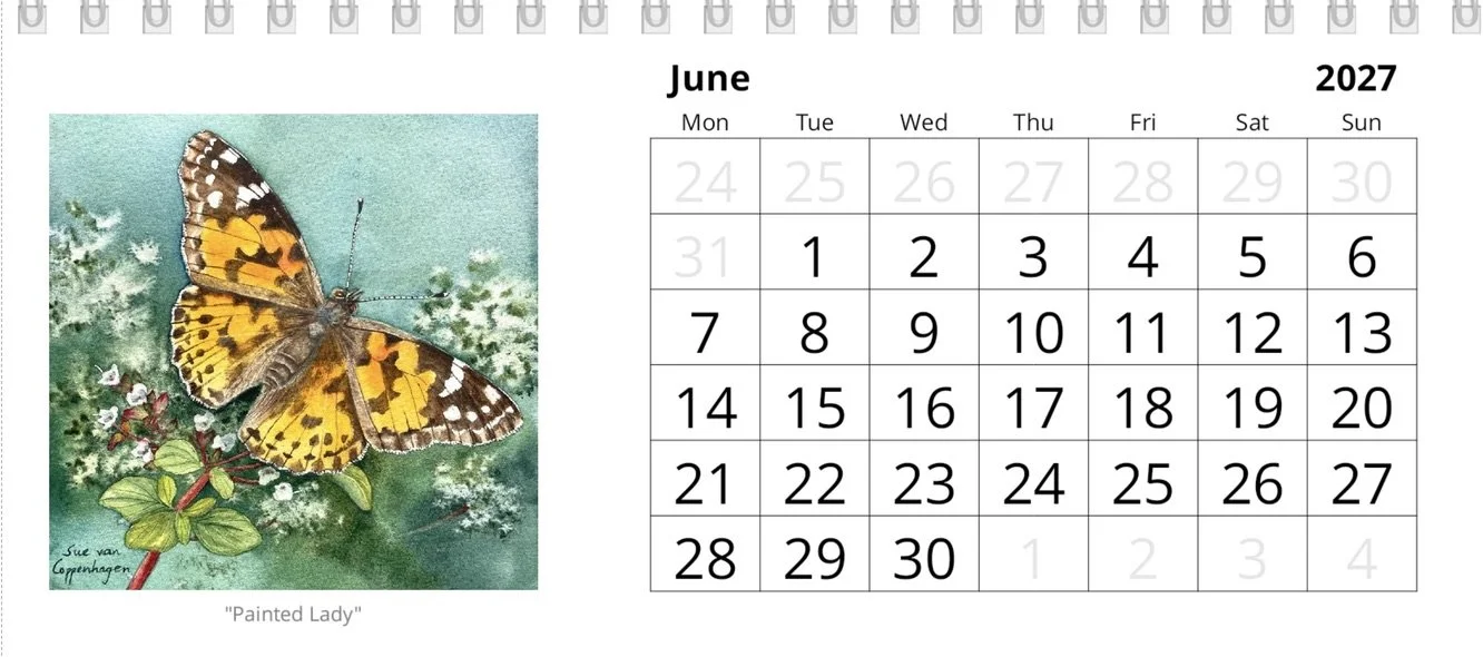 Calendar page with dates and a square painting of a Painted Lady butterfly against a dark green background