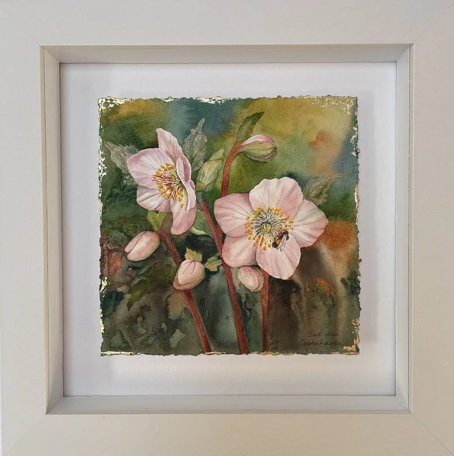 Painting of pale pink hellebore flowers and a bee on a rich gold and green background, framed in an off white square frame