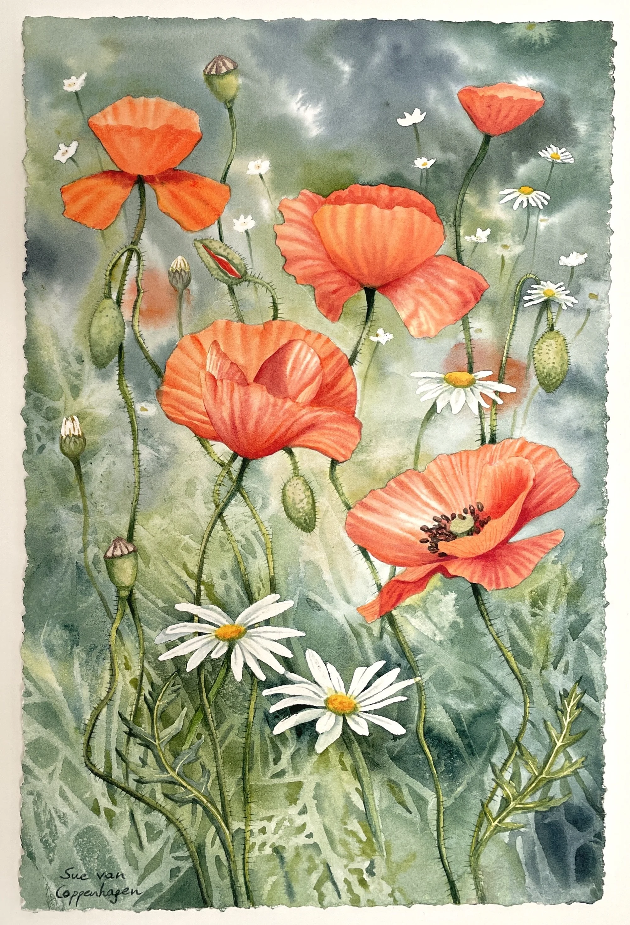 Painting of five red poppies and several white daisies on a green background