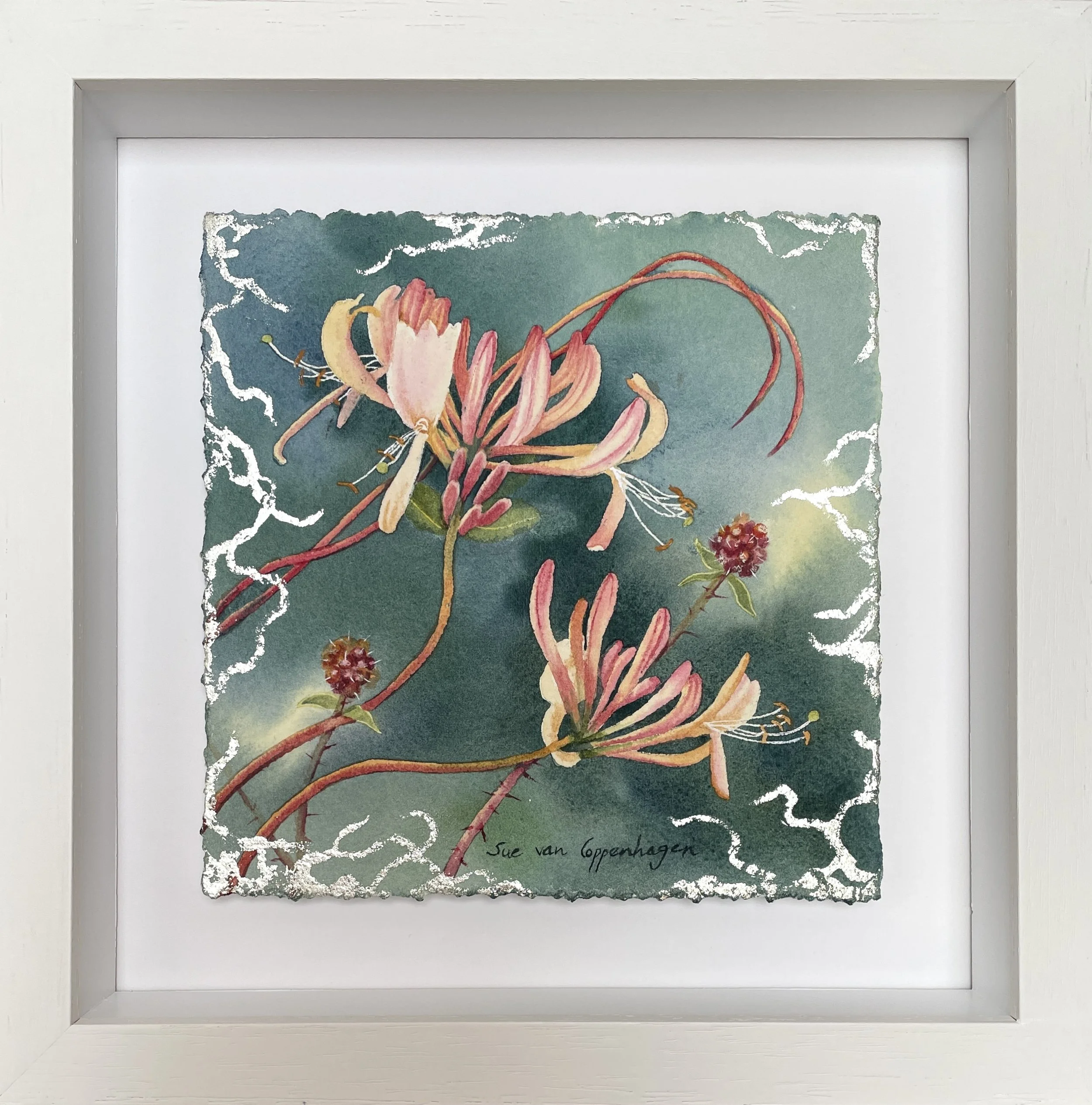 Painting in an off white square frame of two honeysuckle flowers set against a dark green background, with a few blackberries, and a tracery of white gold around the outer edges