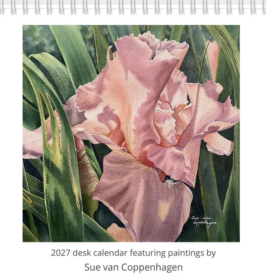 Calendar cover for 2027 square desk calendar, with a painting of a salmon pink iris flower amongst green leaves