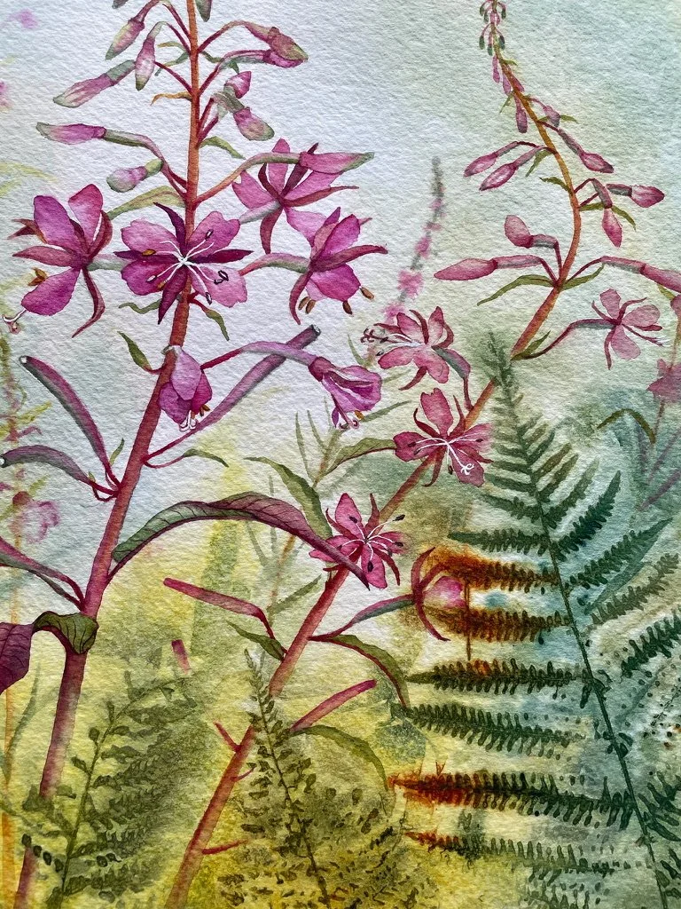 Detail of painting showing pink rosebay willowherb flowers