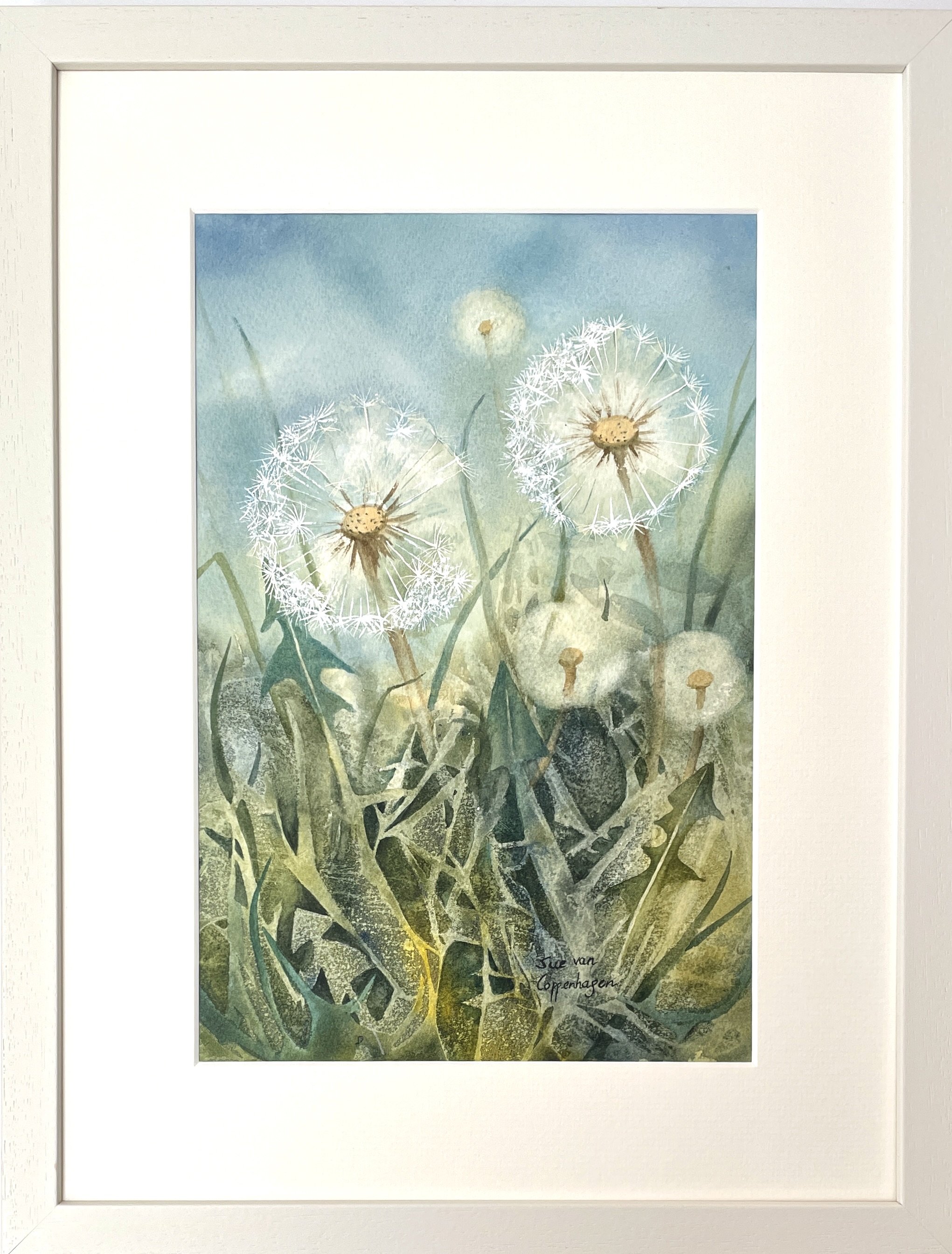 Framed watercolour of dandelion clocks against a blue sky emerging from green leaves and grasses