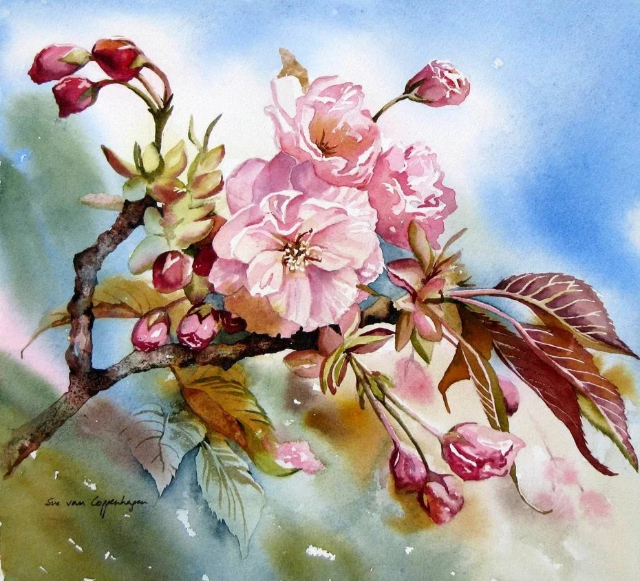 Painting of pink cherry blossoms on a branch with bronze leaves against a blue sky