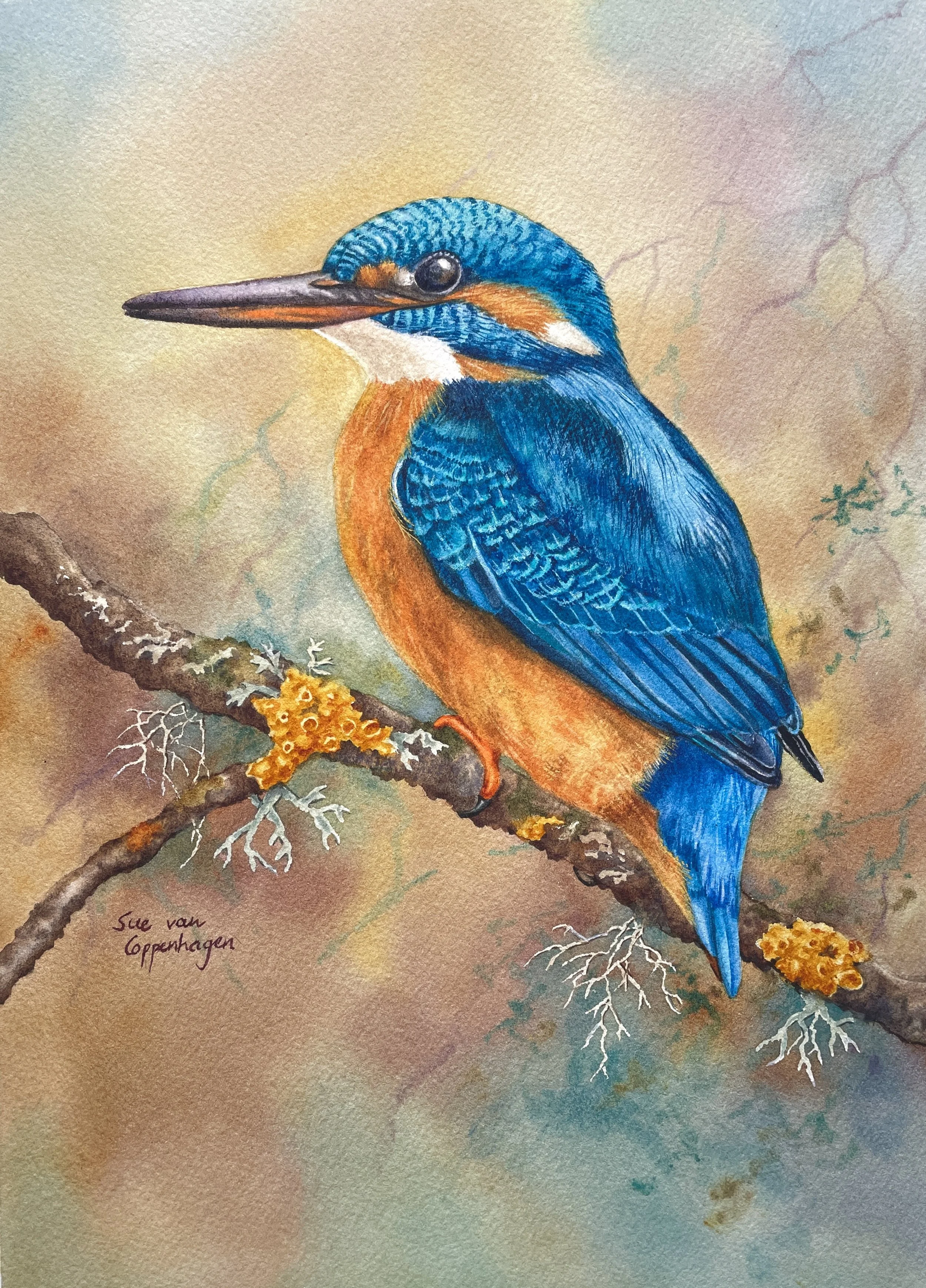 Painting of a kingfisher bird with a blue back and bronze chest on a branch with lichens