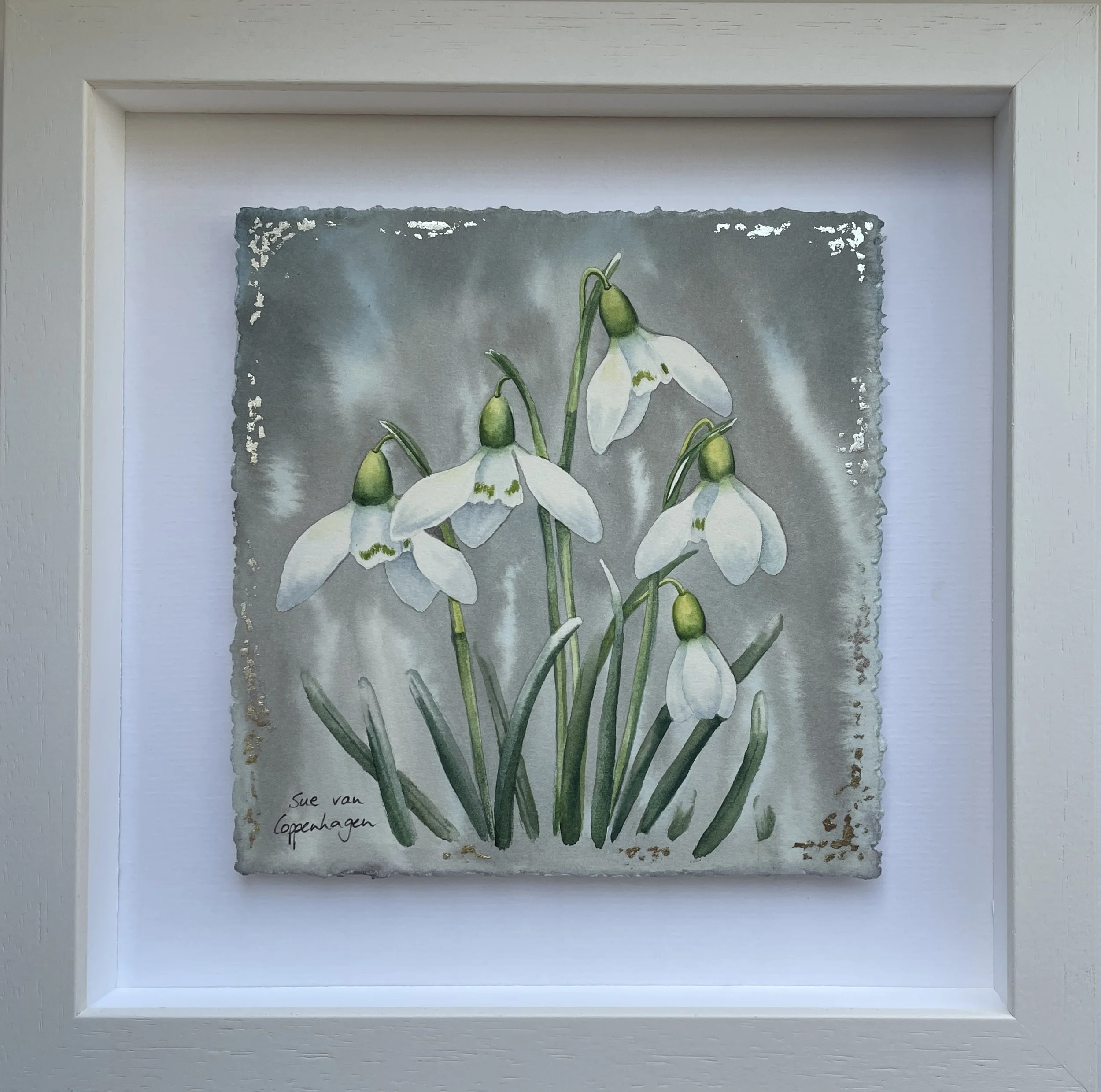 Painting of five white snowdrops on a grey-blue background enhanced with white gold leaf, framed in an off white wooden frame