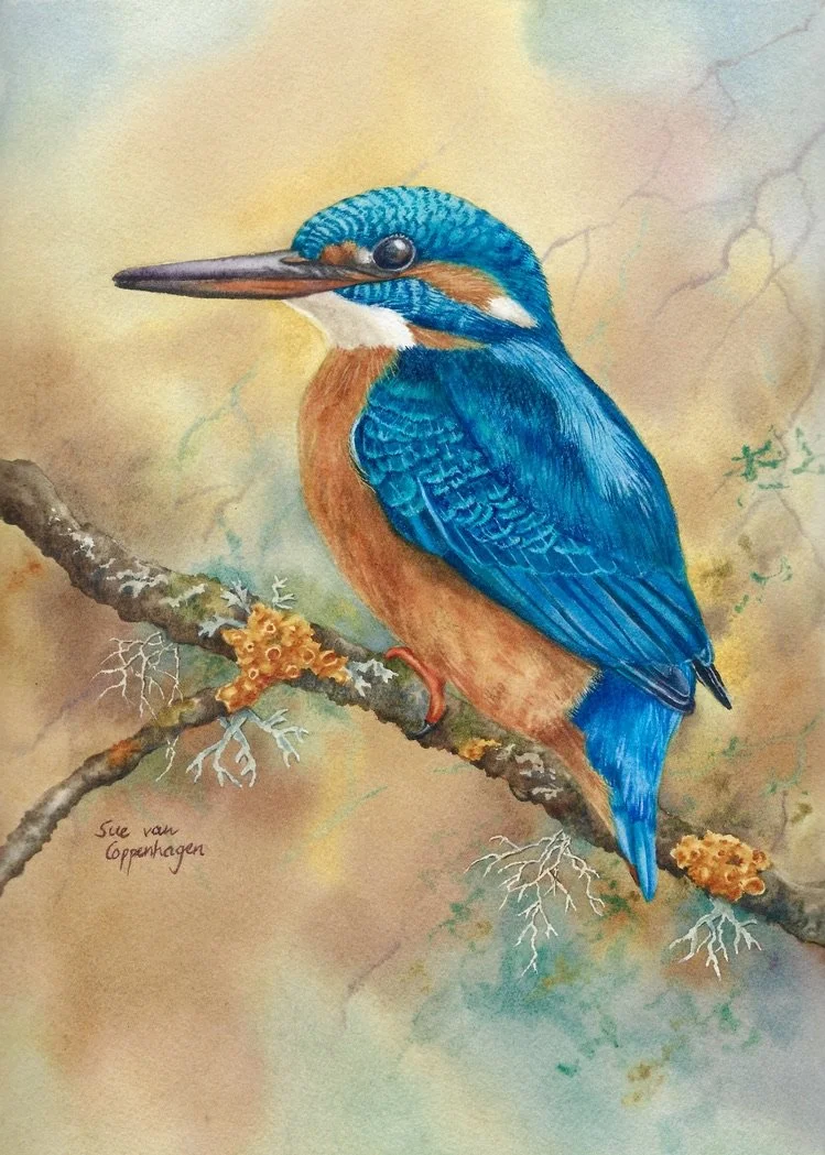 Painting of a female kingfisher with bright blue head and wings, perched on a branch with orange lichens and wispy lichens. The background is coloured with golds, turquoises and browns