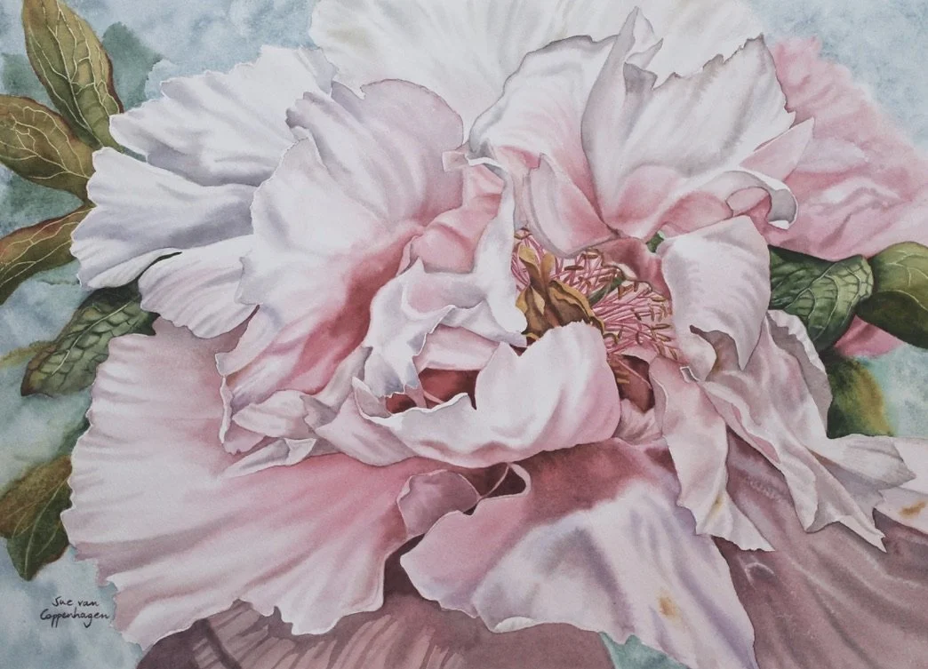 Painting of a pink peony flower