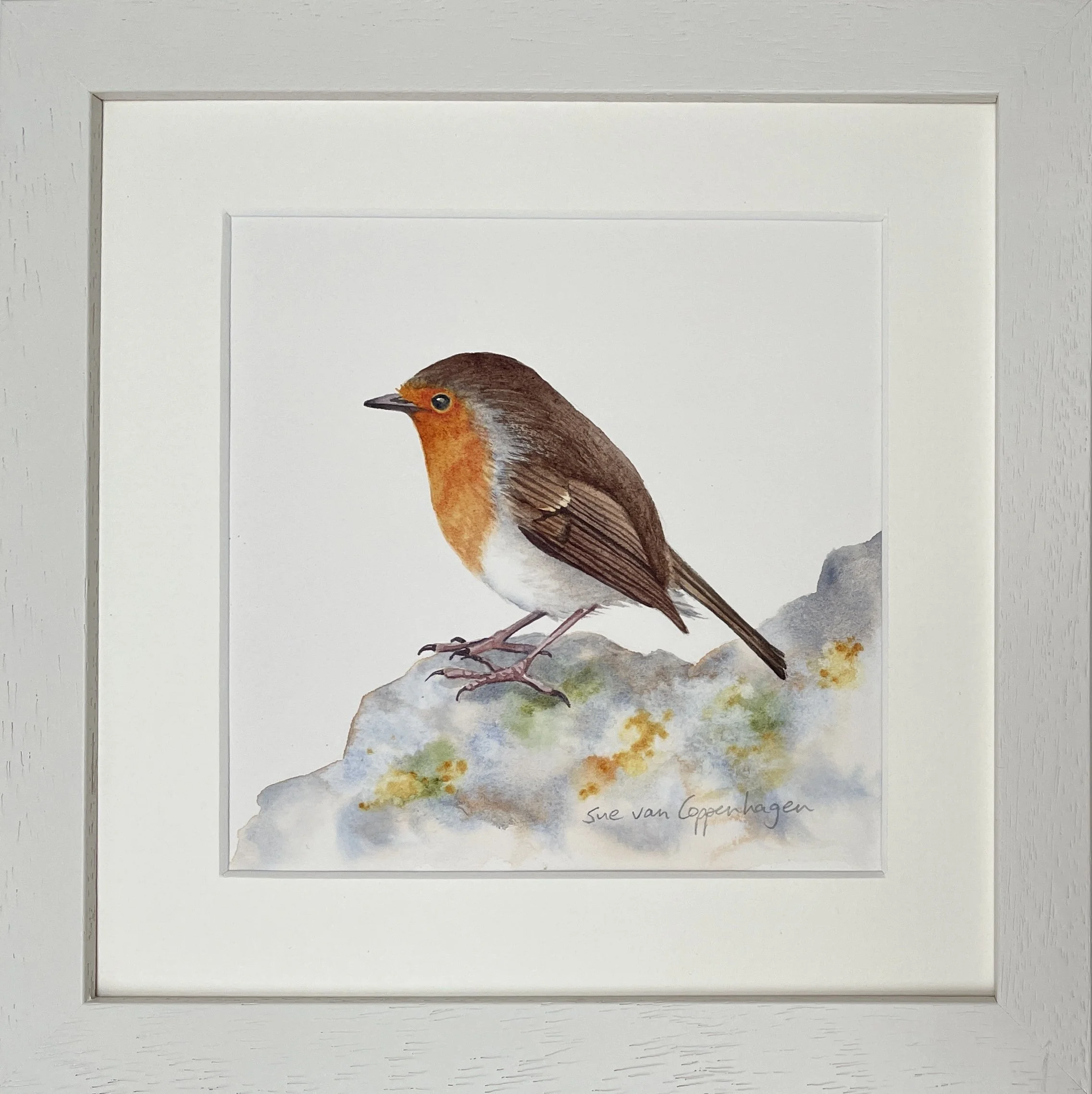 Watercolour painting of a robin bird on a lichen encrusted rock, framed in an off white frame
