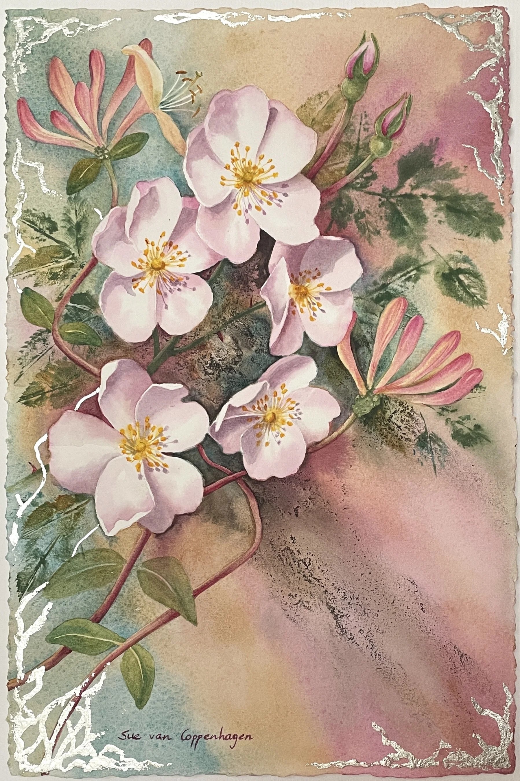Painting of five pink dog rose flowers and two sprays of honeysuckle with twining stems on a background with leaves against greens, pink and sand, and edged with a tracery of white gold leaf
