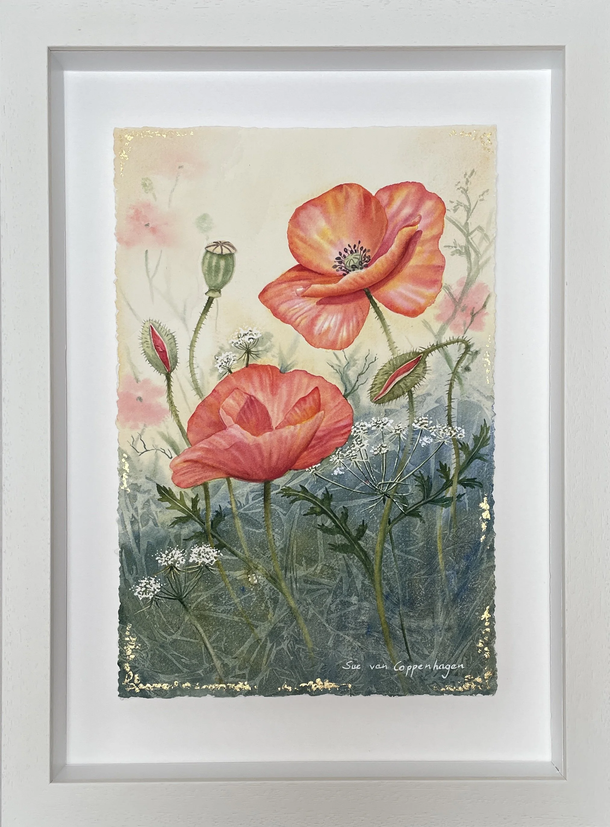 Painting of two red poppies in watercolour and gold leaf, framed in an off white wooden frame