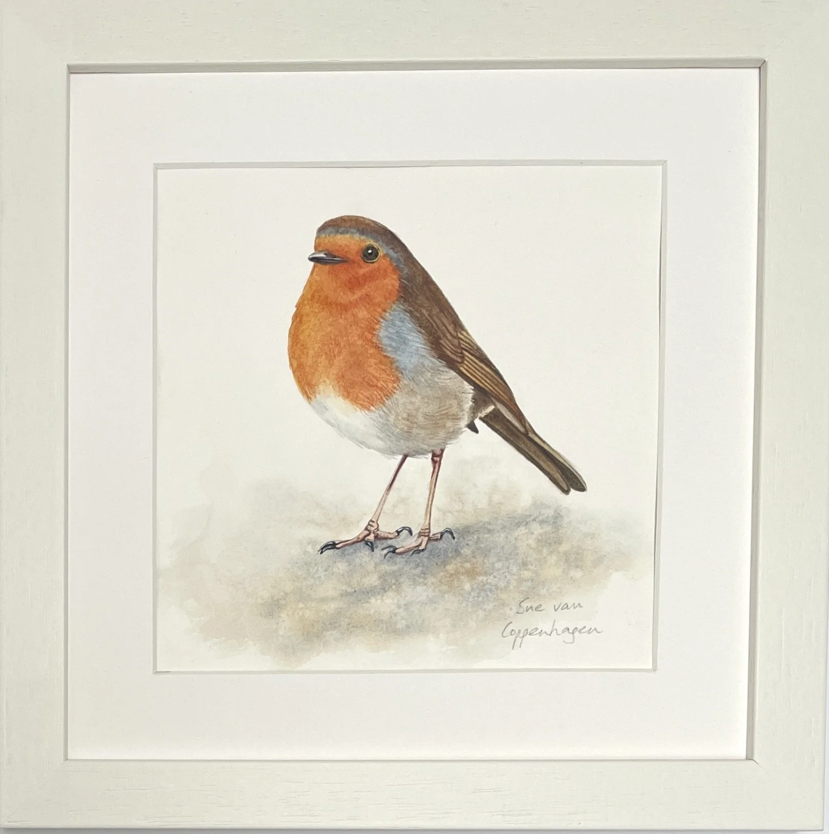 Painting of a red breasted European robin bird in an off white square frame