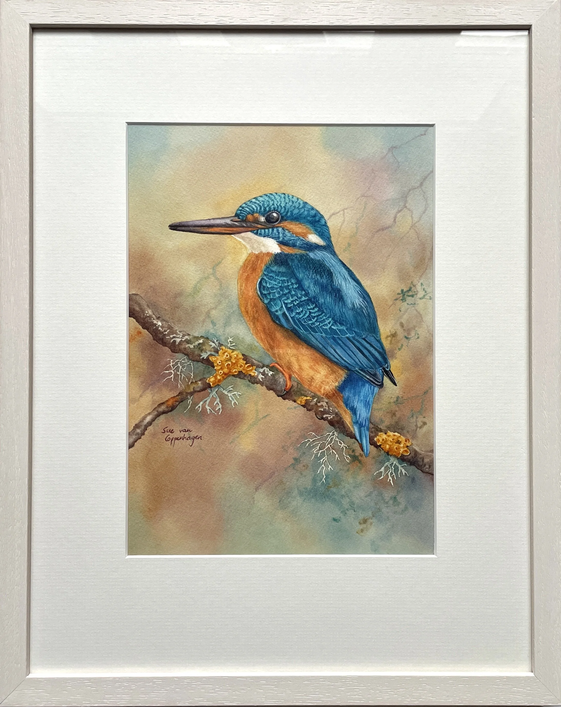 Framed painting of a female kingfisher bird on a branch with lichens