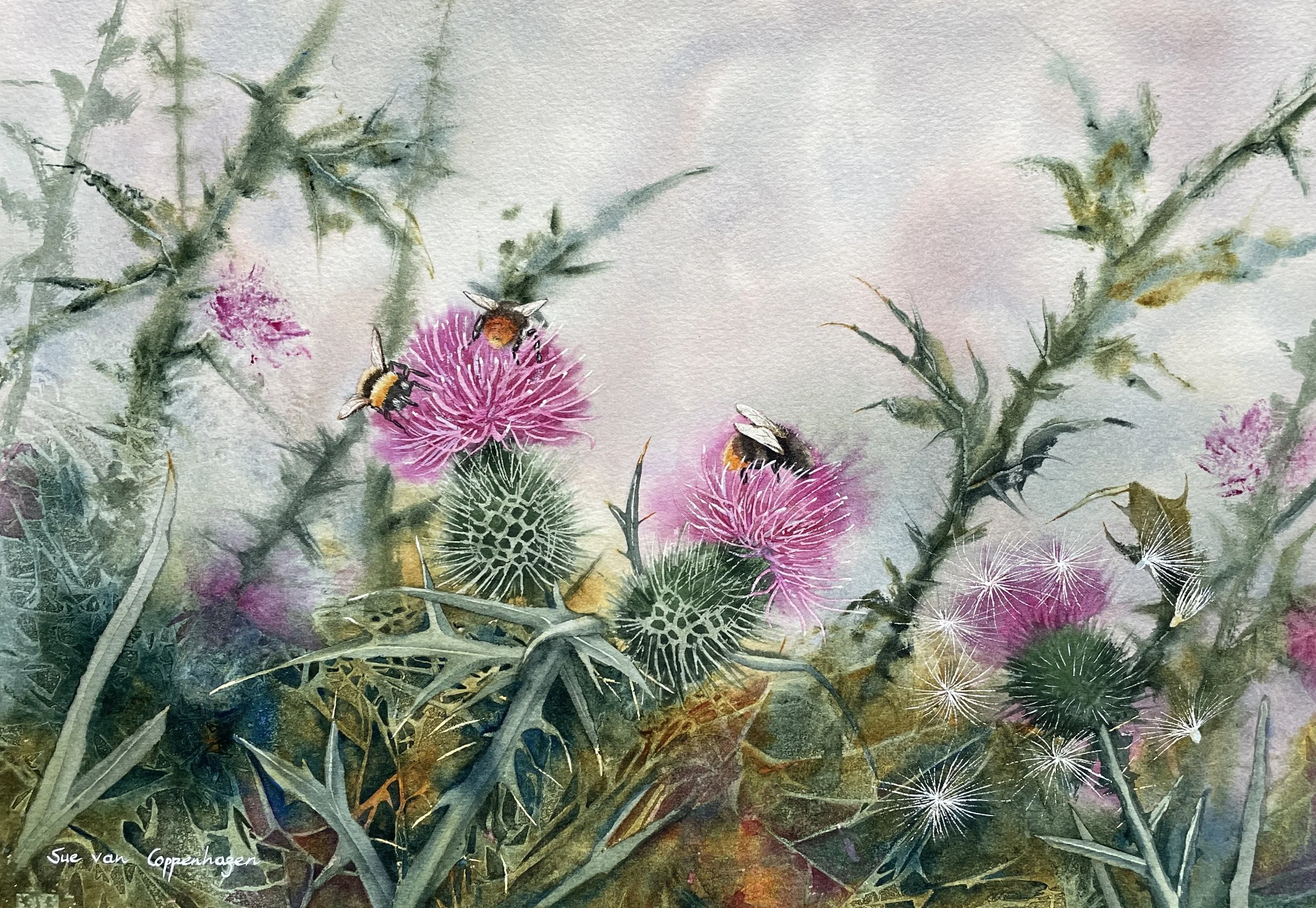 Painting of bumble bees feeding on prickly thistles on a soft mauve background above, with darker greens and gold below