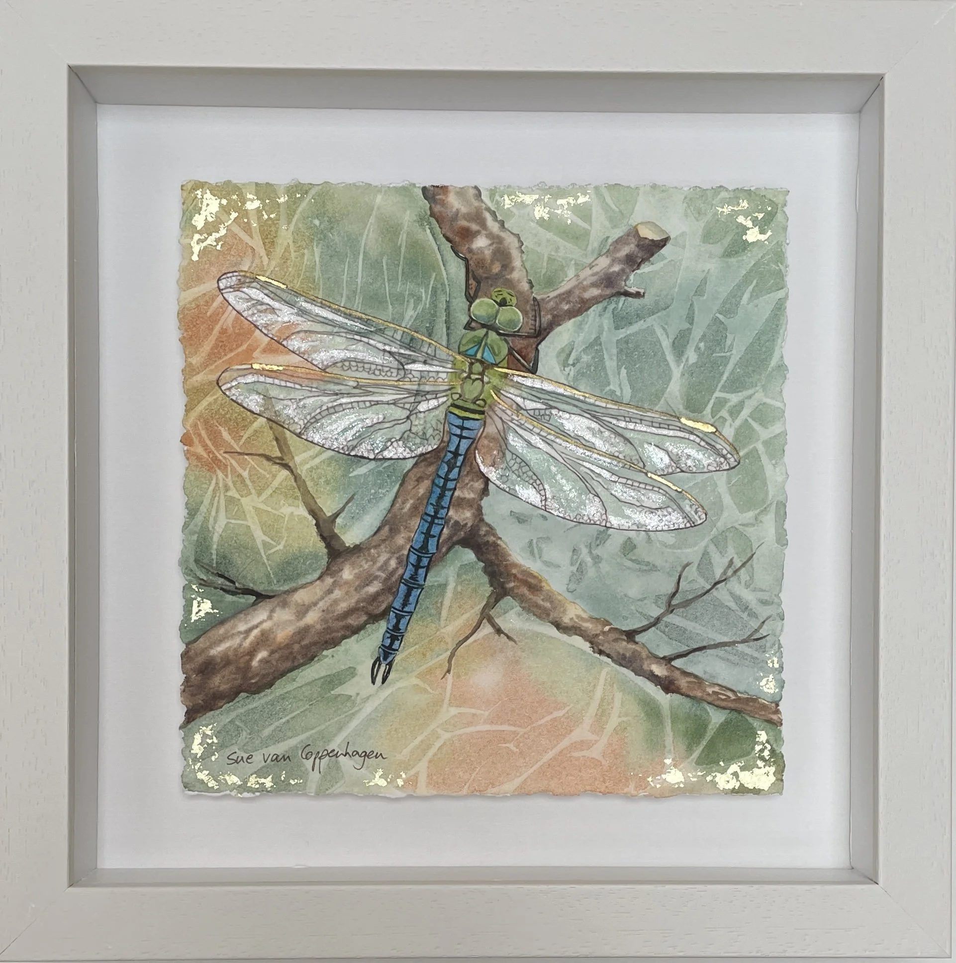 Painting of an emperor dragonfly perched on a branch, framed in an off white wooden frame