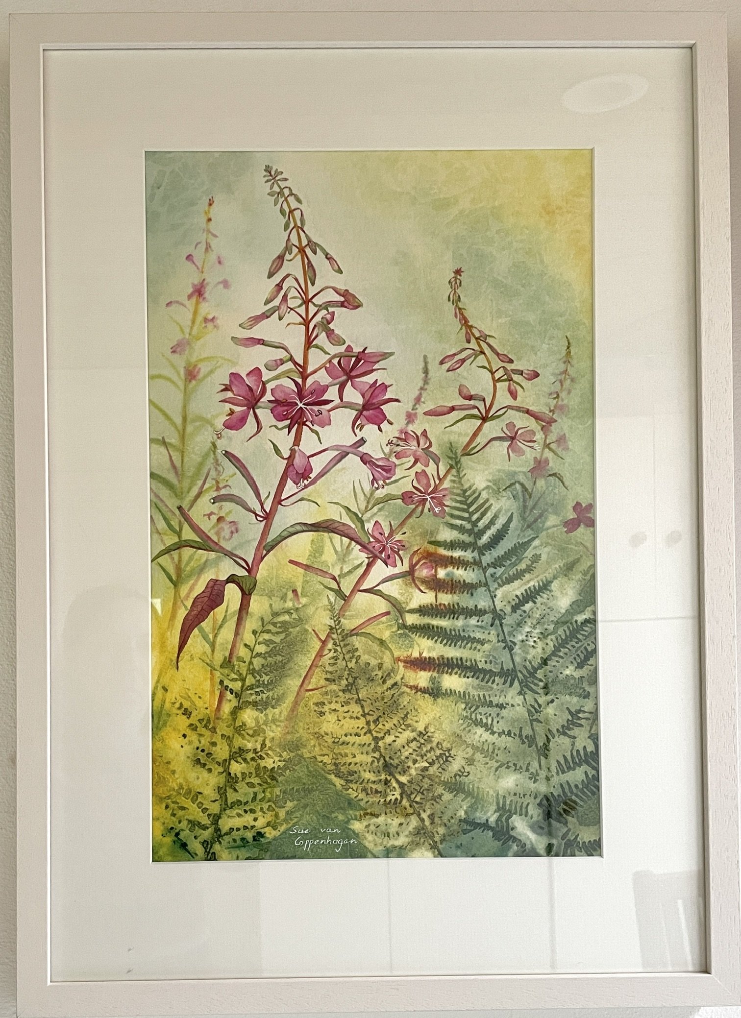 Framed painting of pink rosebay willowherb flowers and green ferns