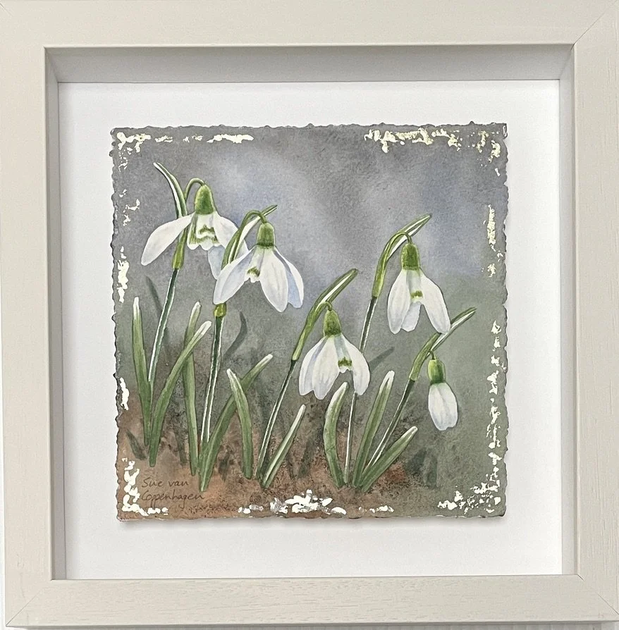 Painting of five snowdrop flowers on a blue grey background with touches of gold leaf, framed in an off white square frame