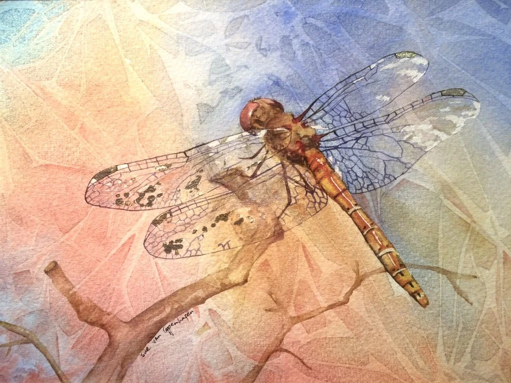 Painting of a dragonfly against a multi-coloured background