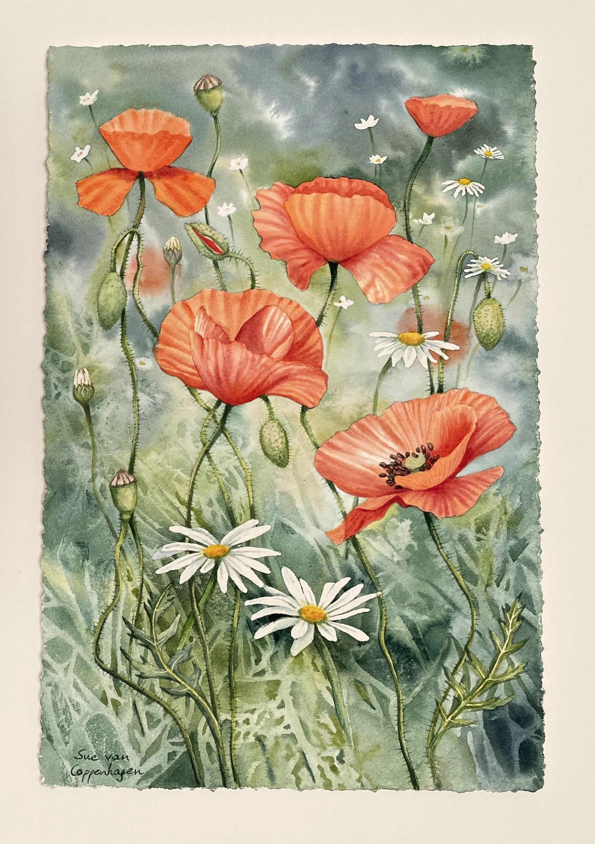 Rectangular painting with a deckle edge of red poppies and white daisies on a leafy green background