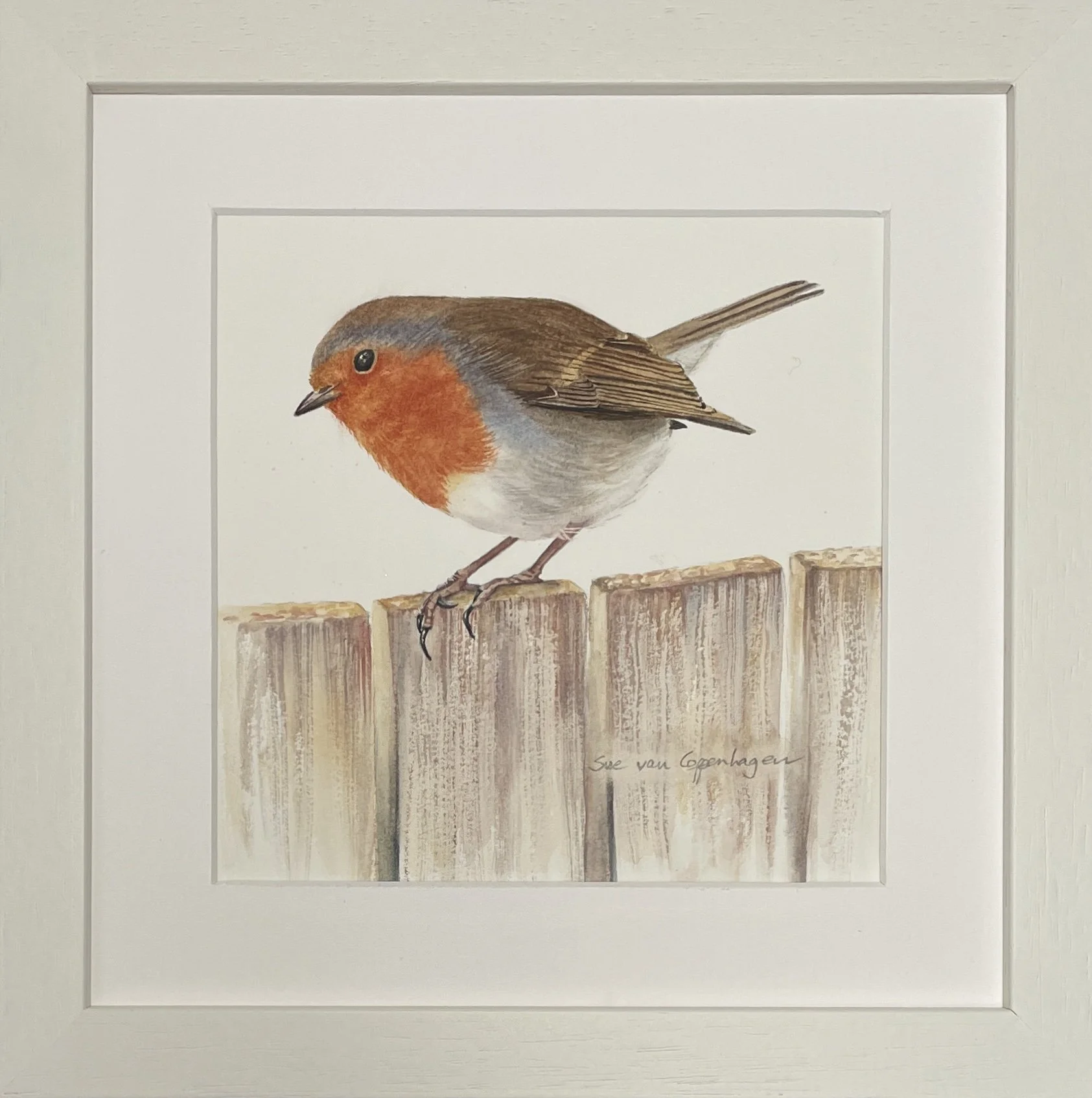 Painting of a red breasted robin on a wooden fence, framed in an off white square frame