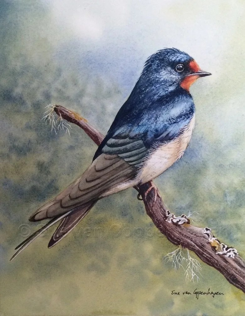 Painting of a swallow against a green background